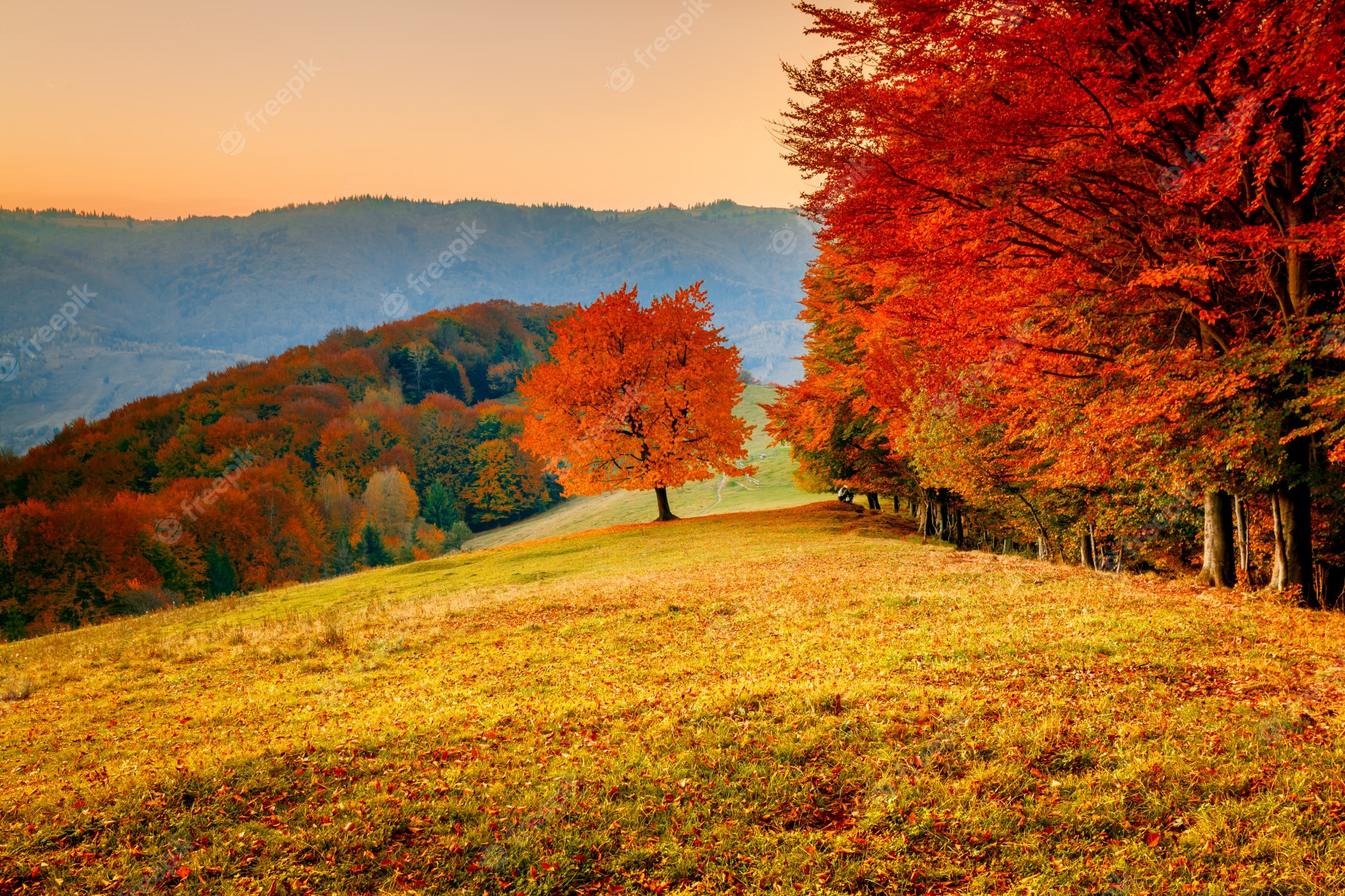 Autumn Scene Wallpapers