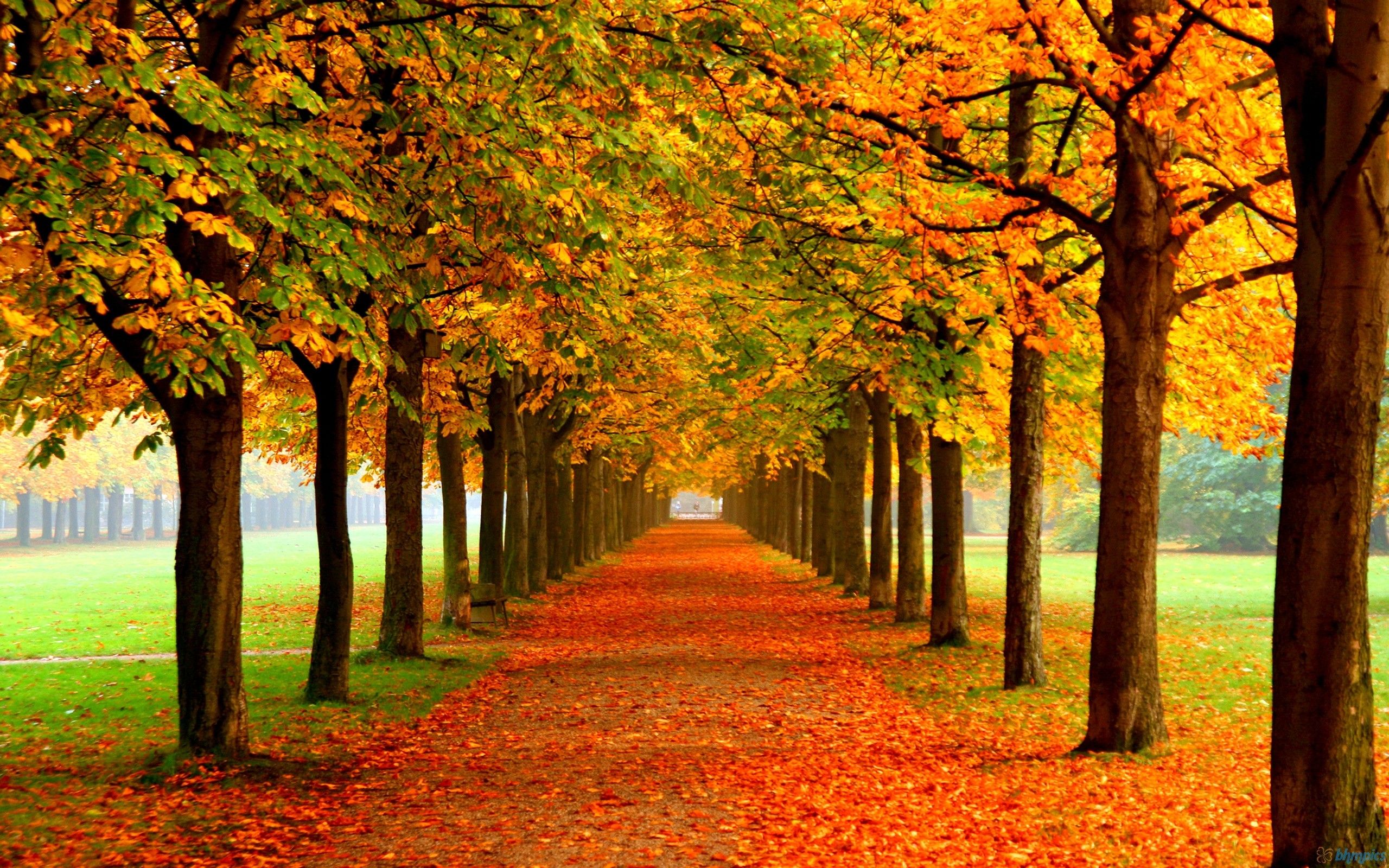 Autumn Scenes Desktop Wallpapers