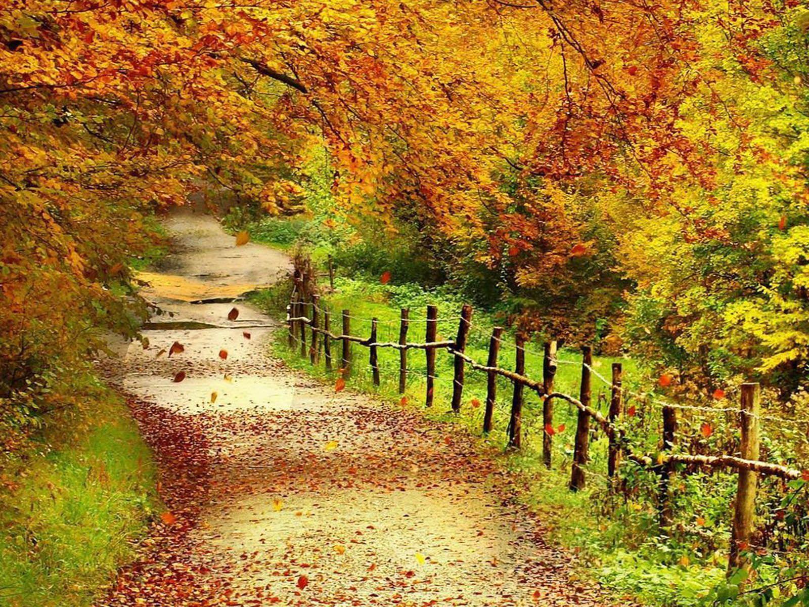 Autumn Scenes Wallpapers