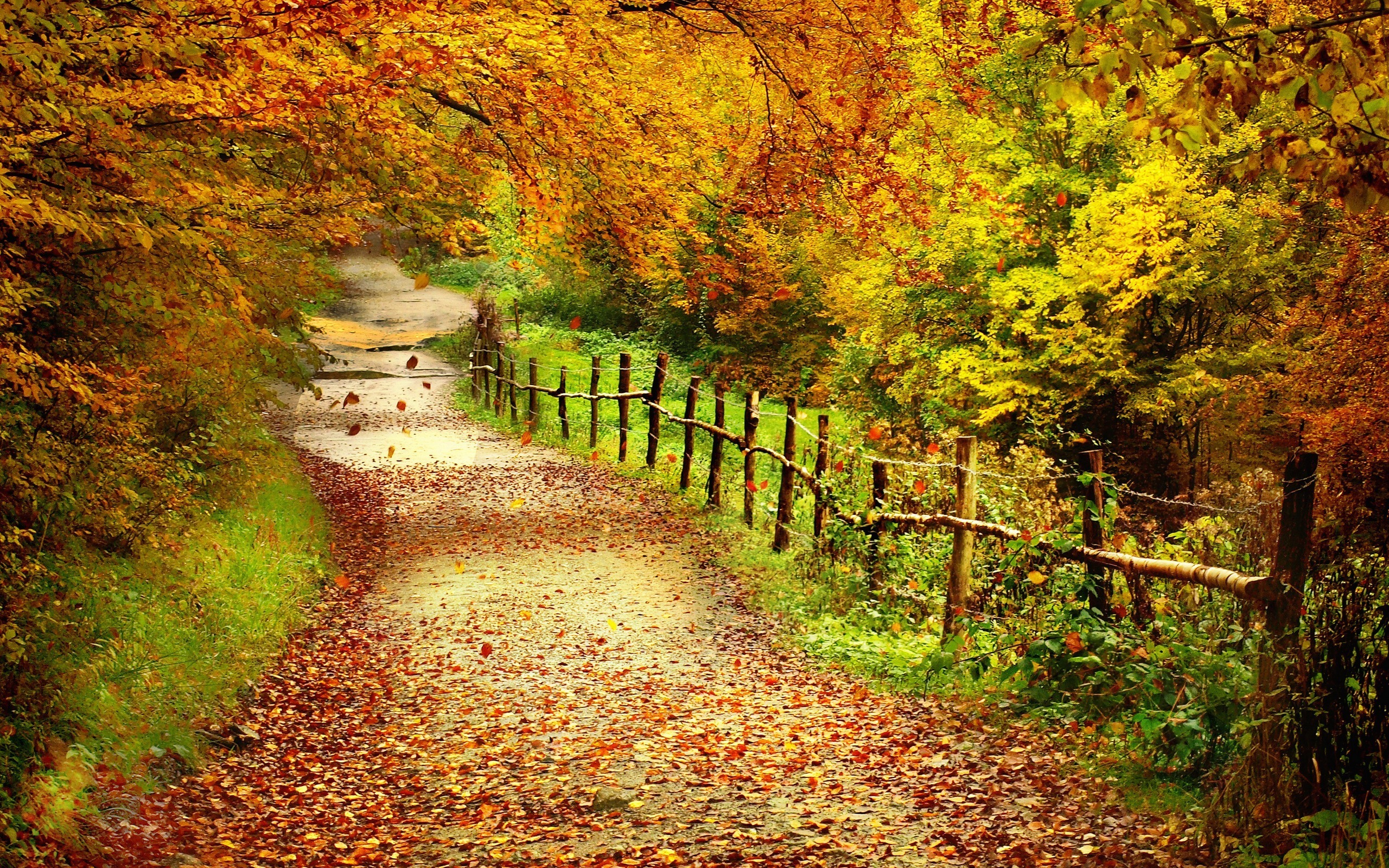 Autumn Scenes Wallpapers