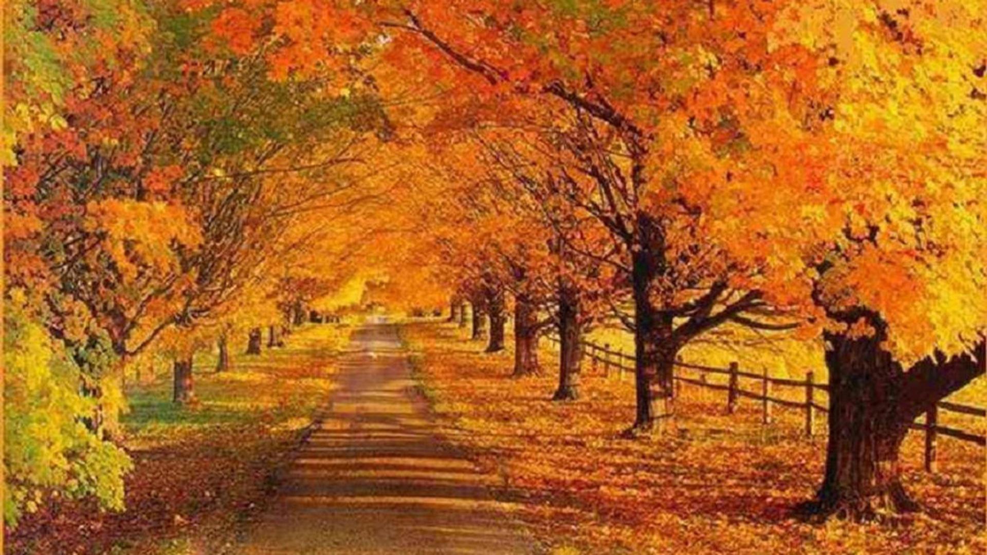 Autumn Scenes Wallpapers