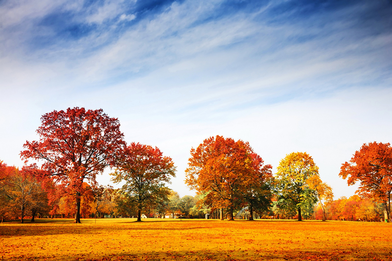 Autumn Sky Wallpapers