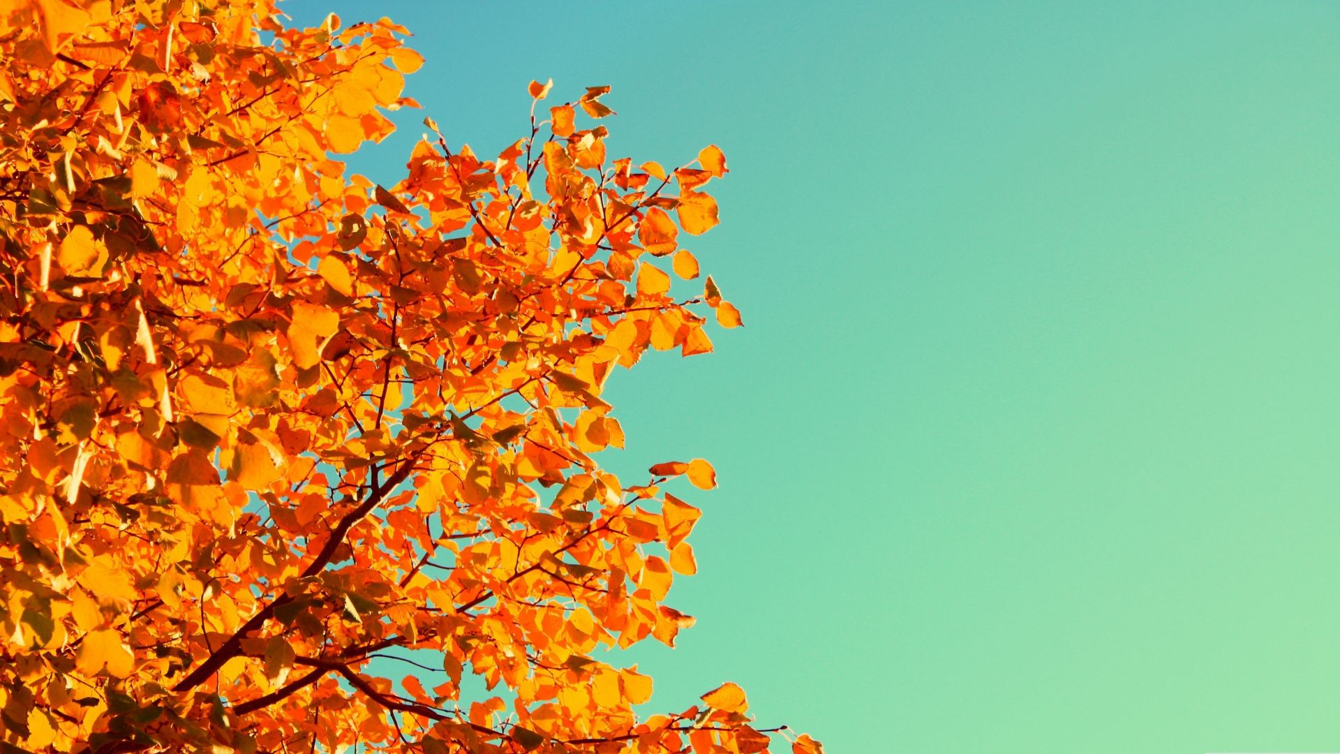 Autumn Sky Wallpapers