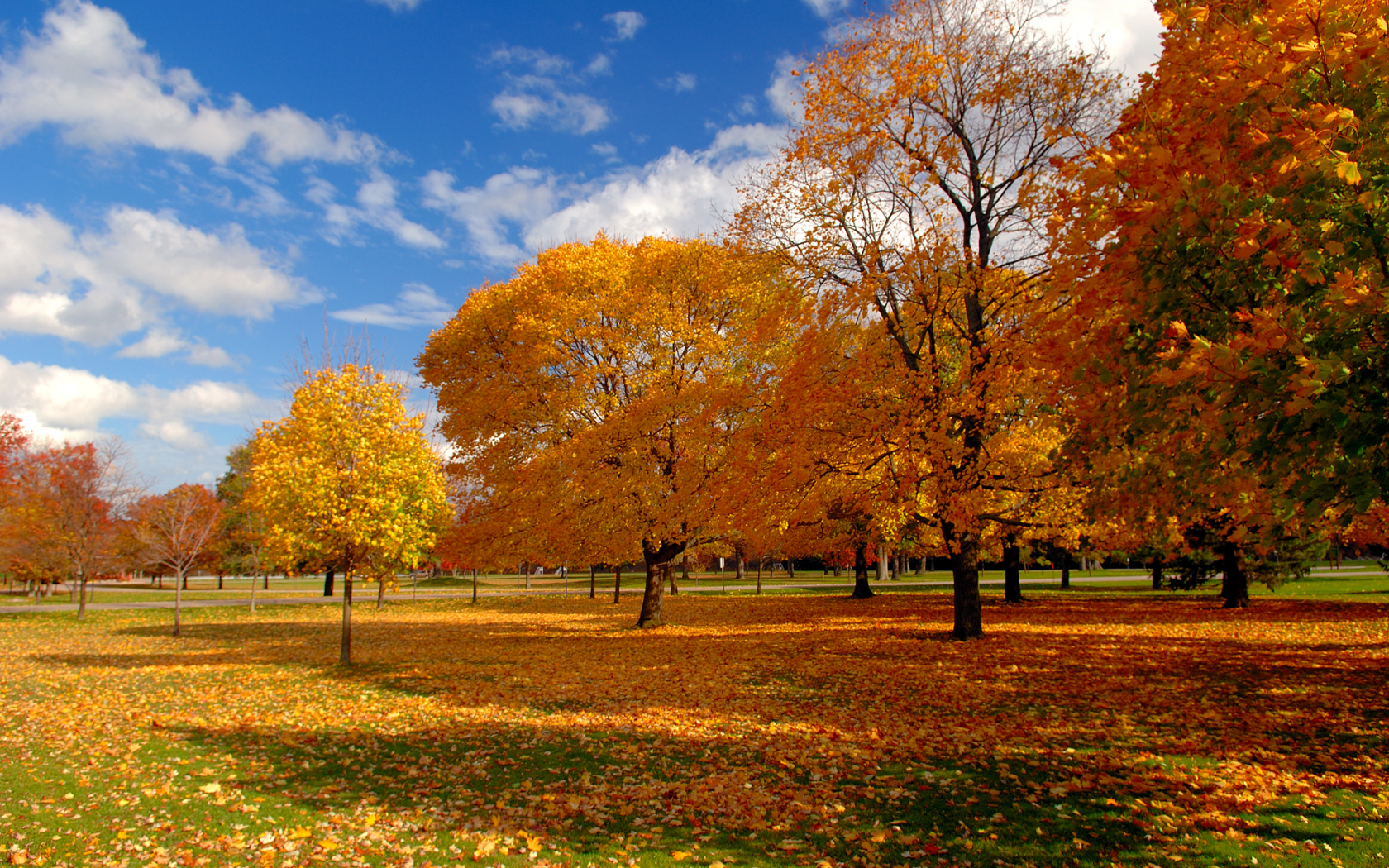 Autumn Sky Wallpapers