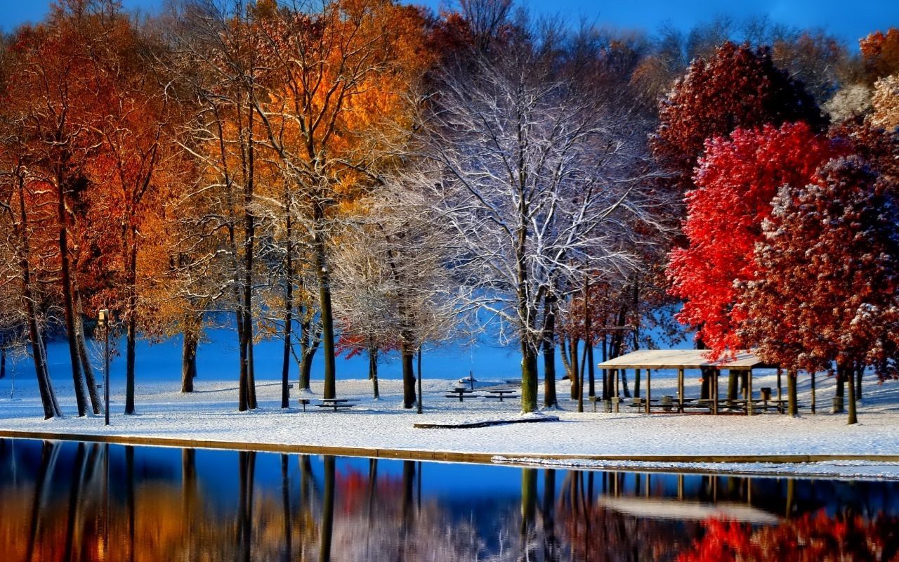 Autumn Snowfall Wallpapers