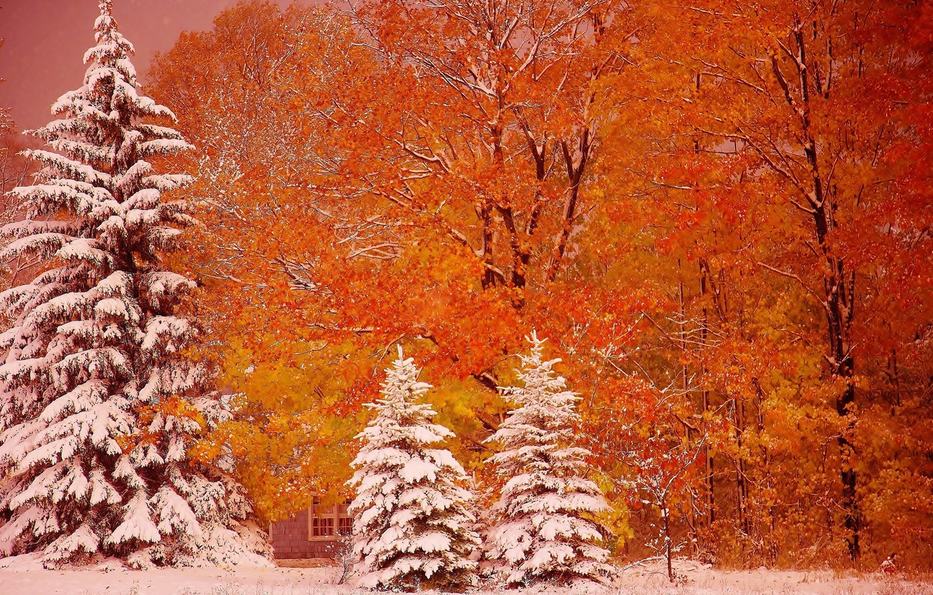 Autumn Snowfall Wallpapers