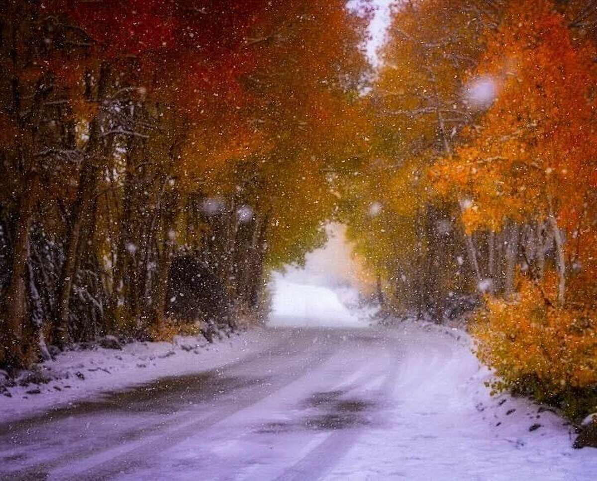 Autumn Snowfall Wallpapers