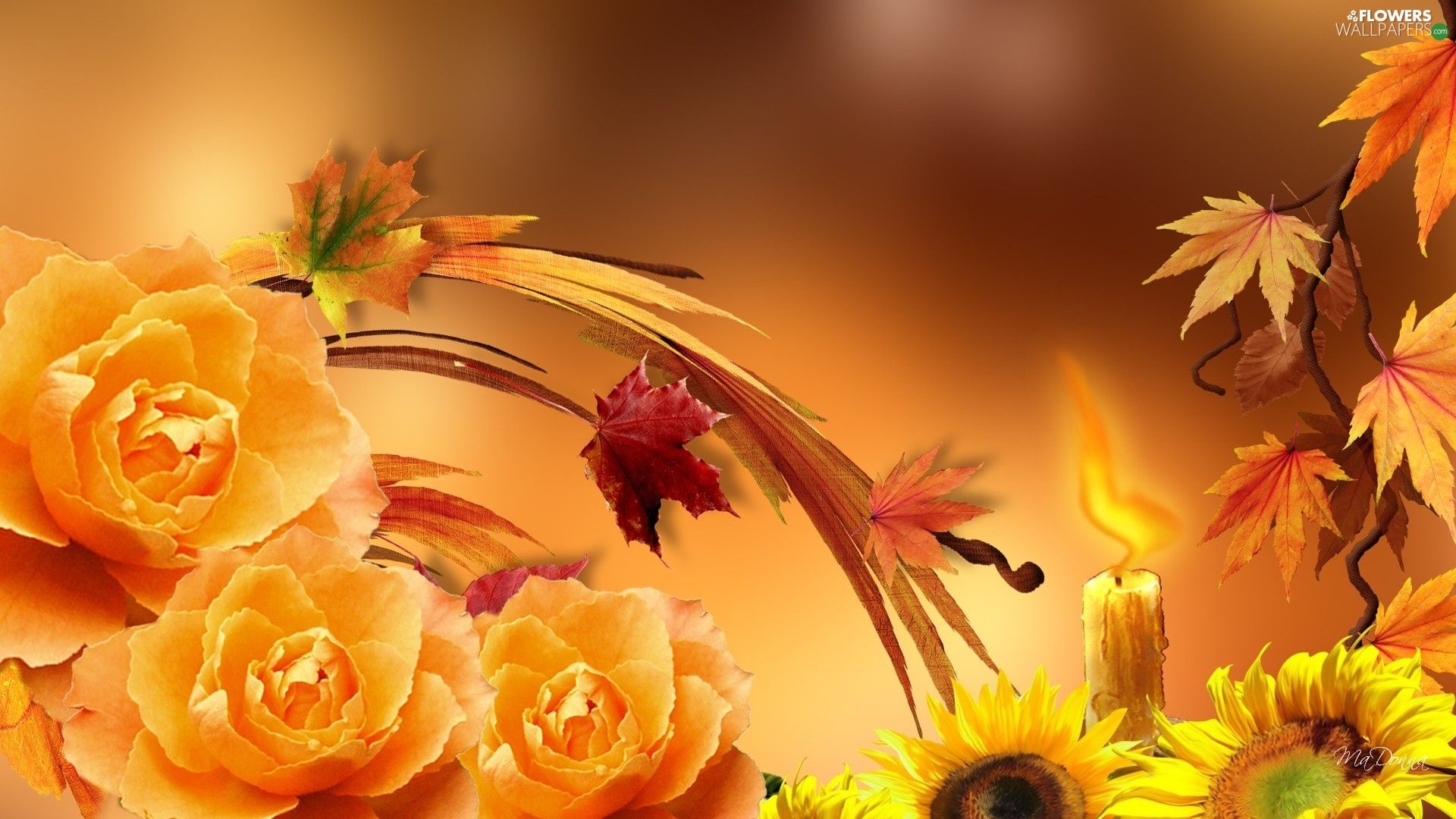 Autumn Sunflower Wallpapers