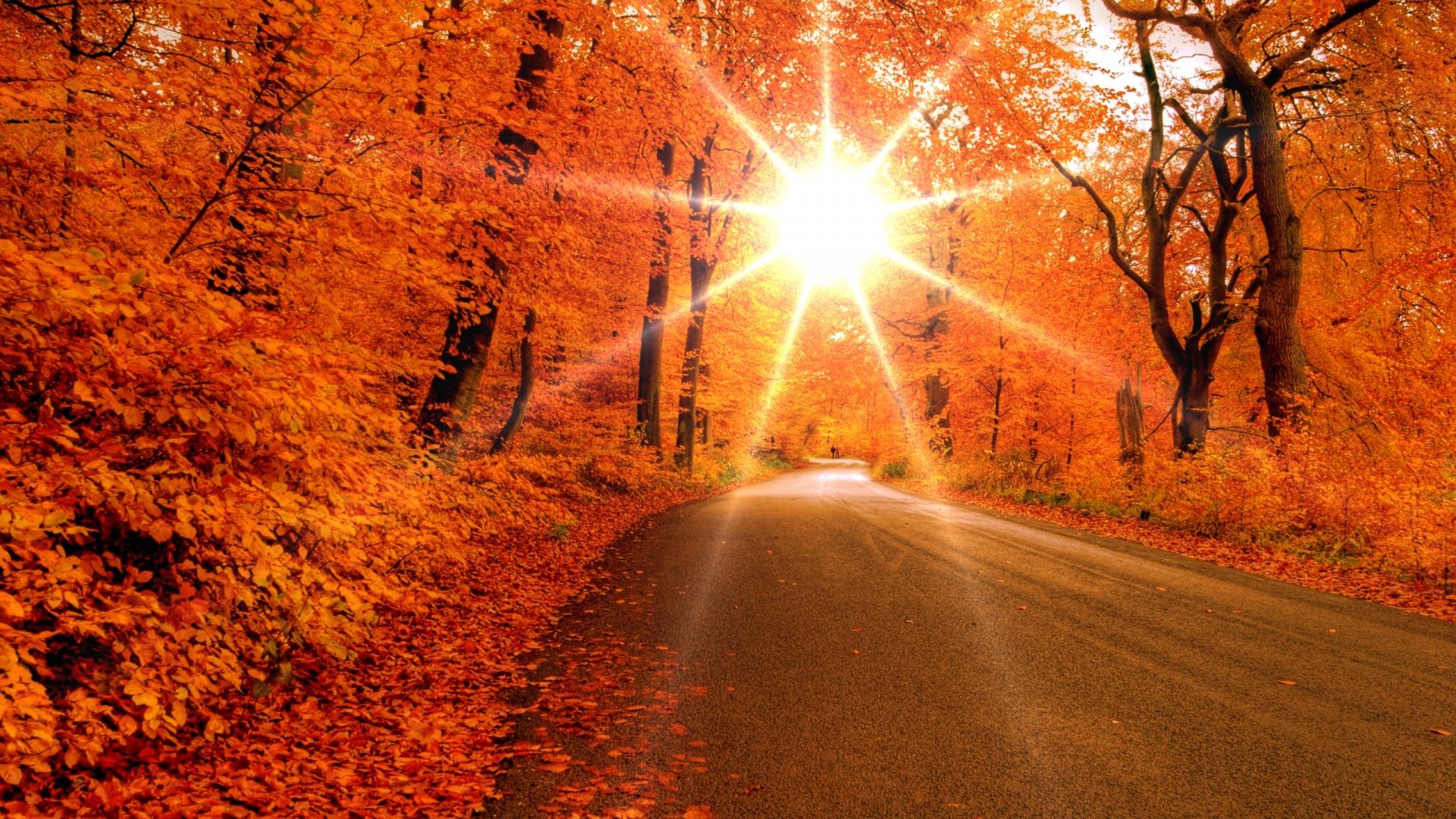 Autumn Sunrise Wallpapers