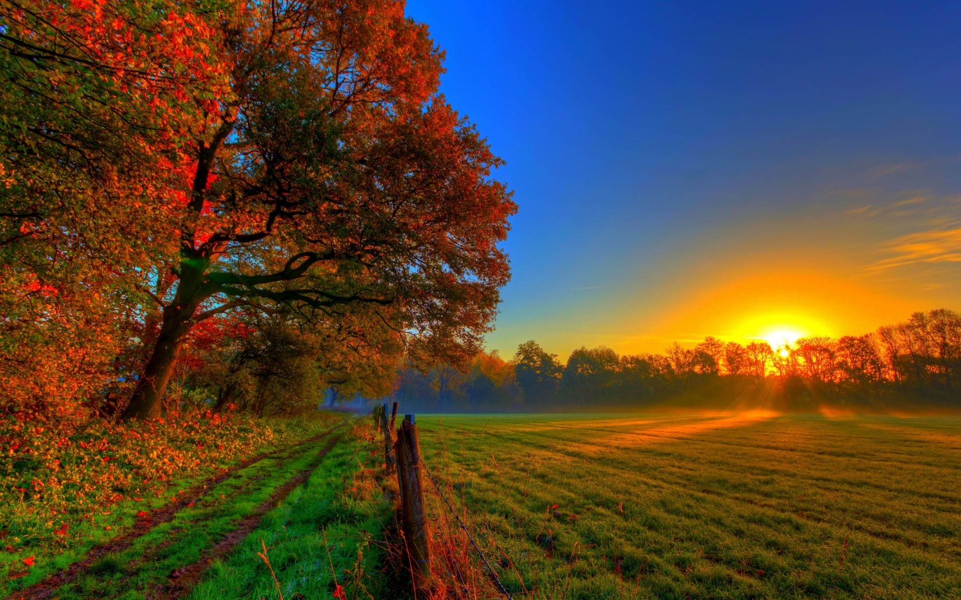 Autumn Sunrise Wallpapers