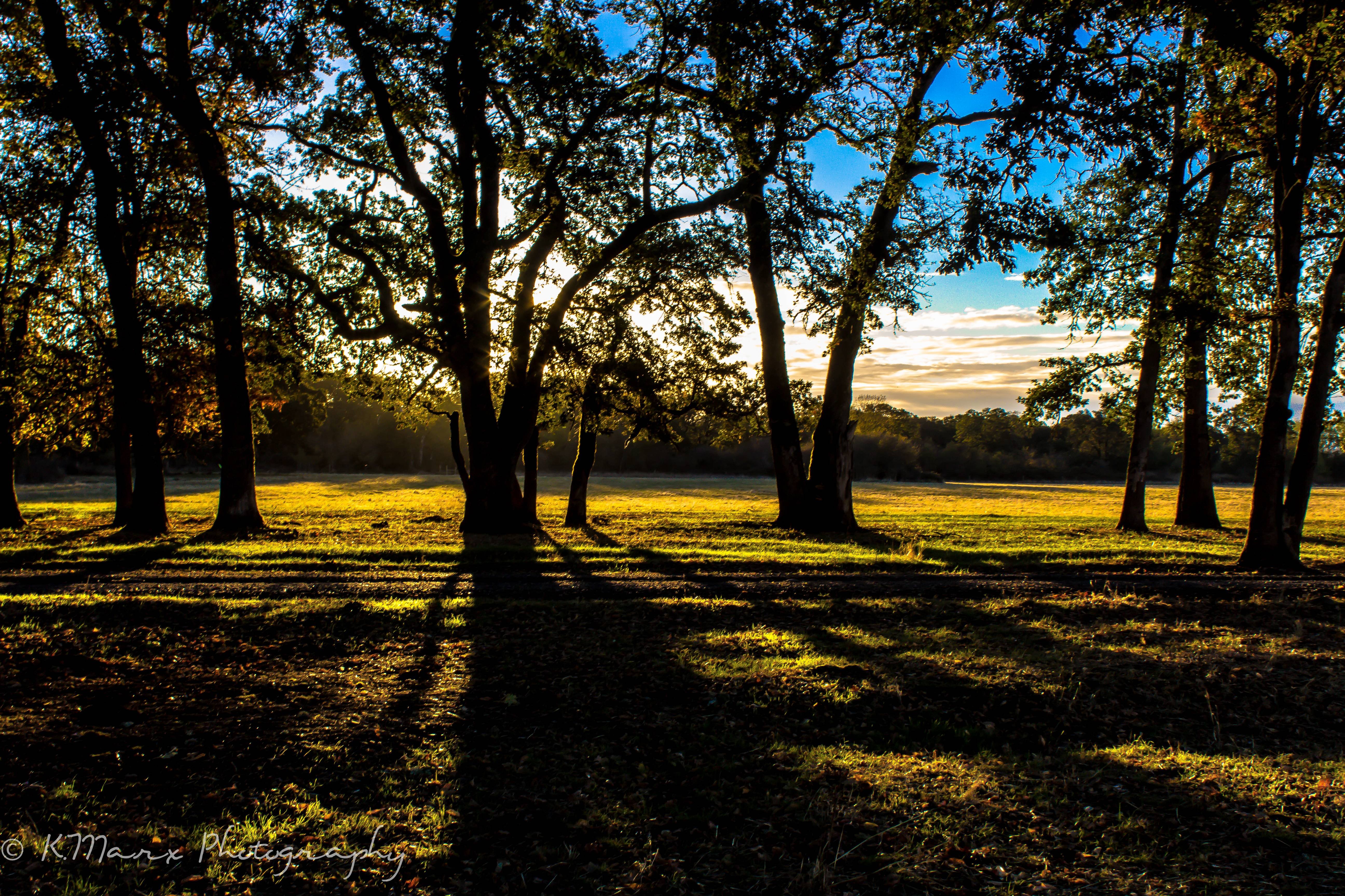 Autumn Sunrise Wallpapers