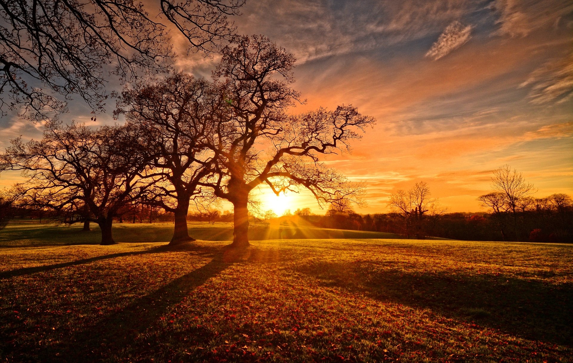 Autumn Sunset Wallpapers