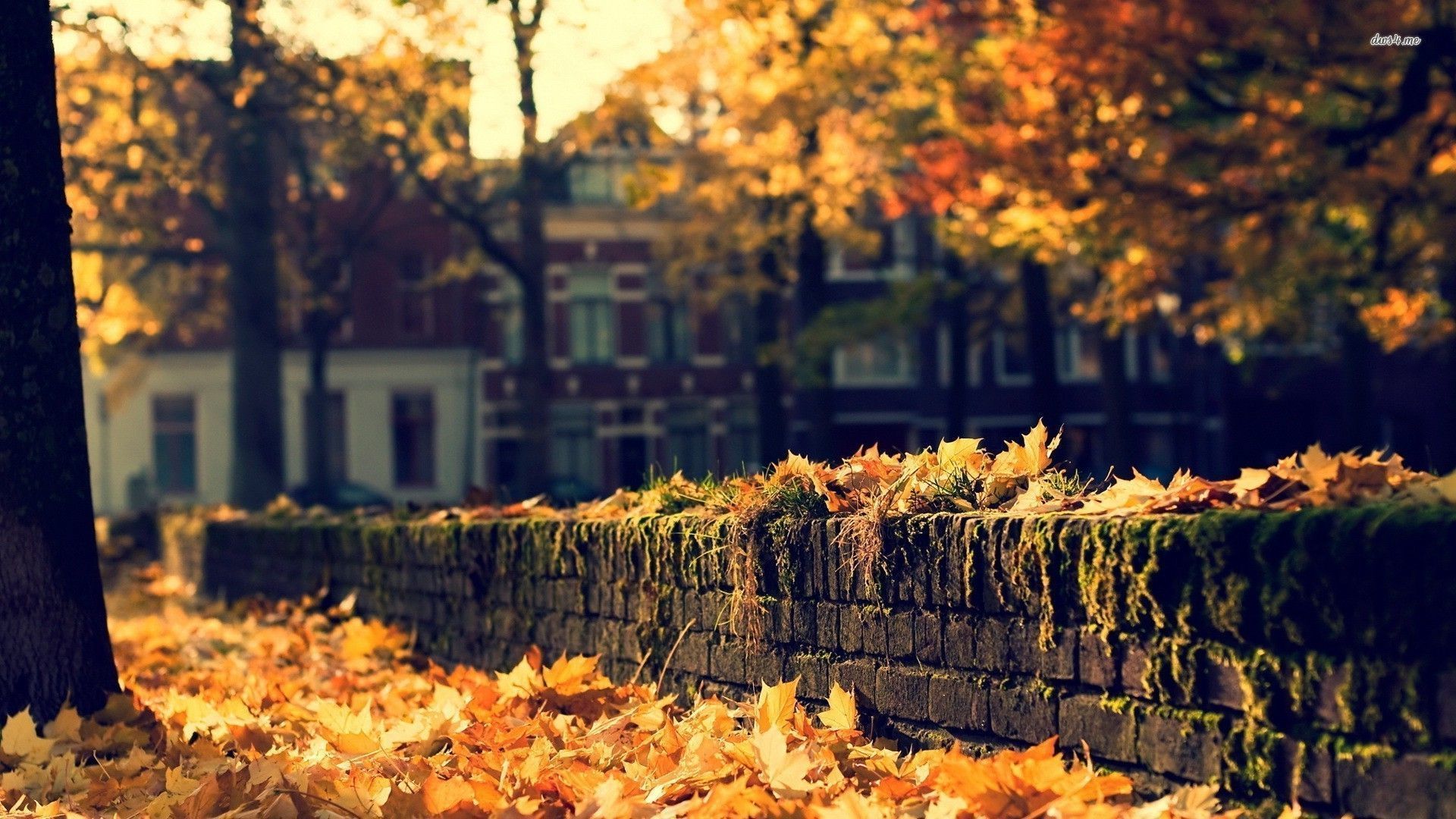 Autumn Town Wallpapers
