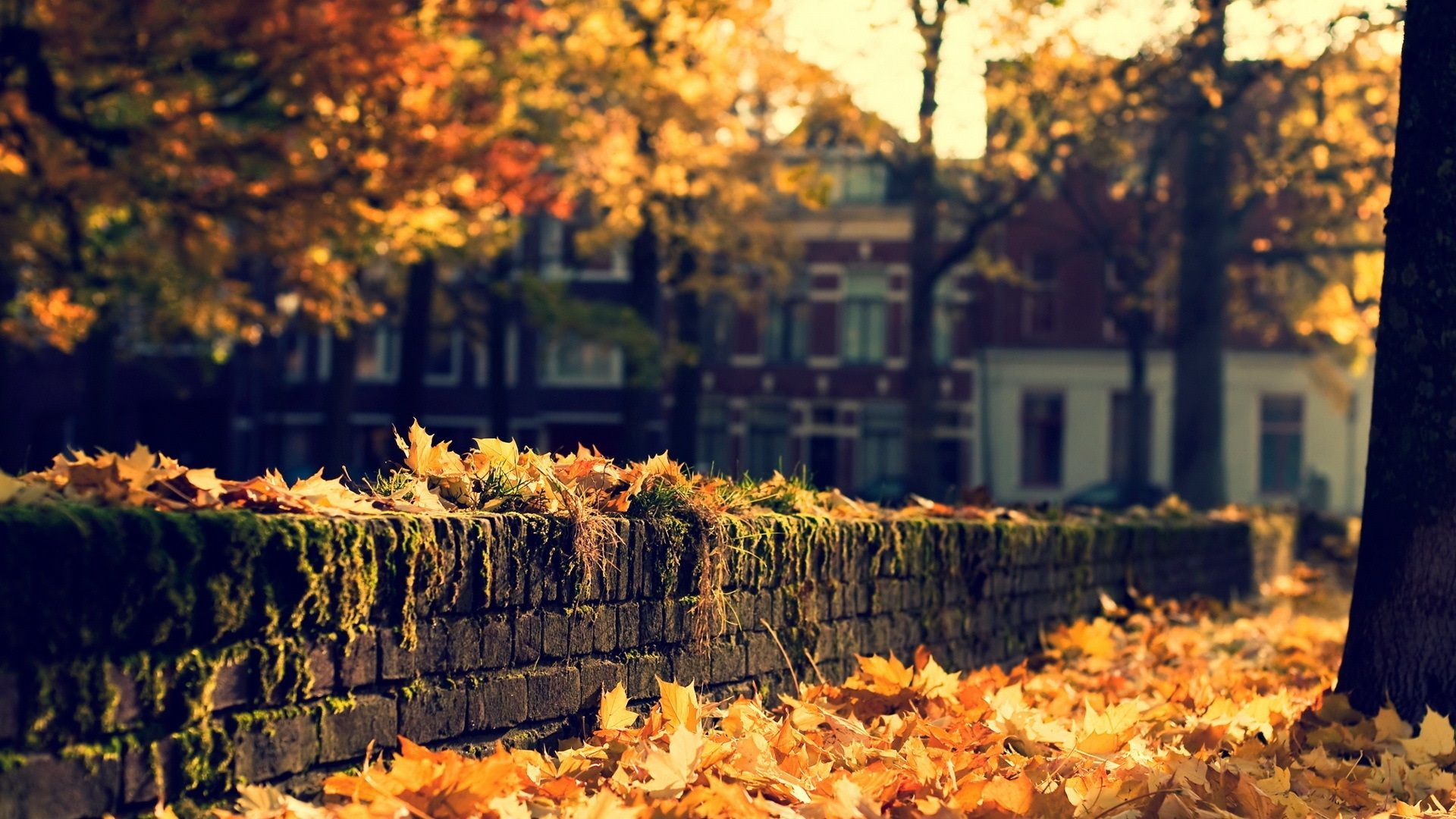 Autumn Town Wallpapers