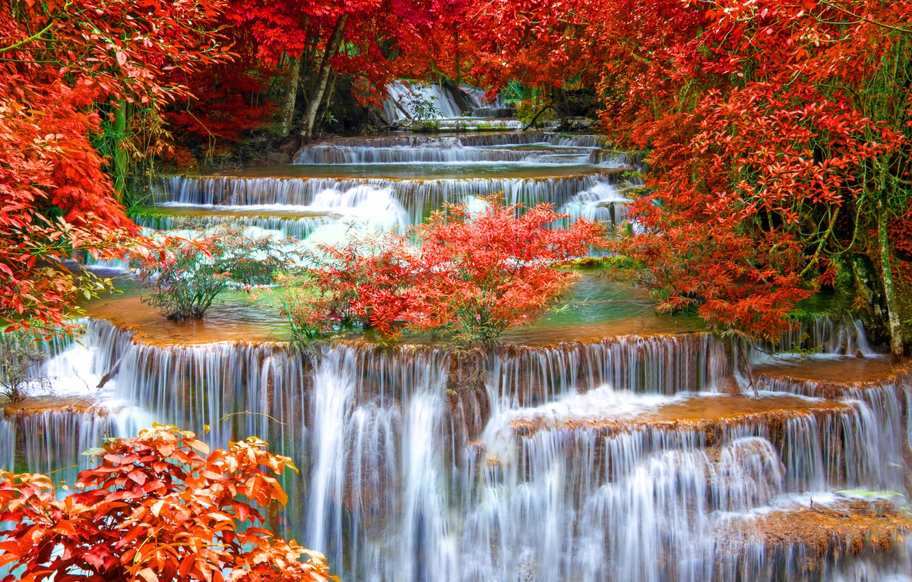 Autumn Water Wallpapers