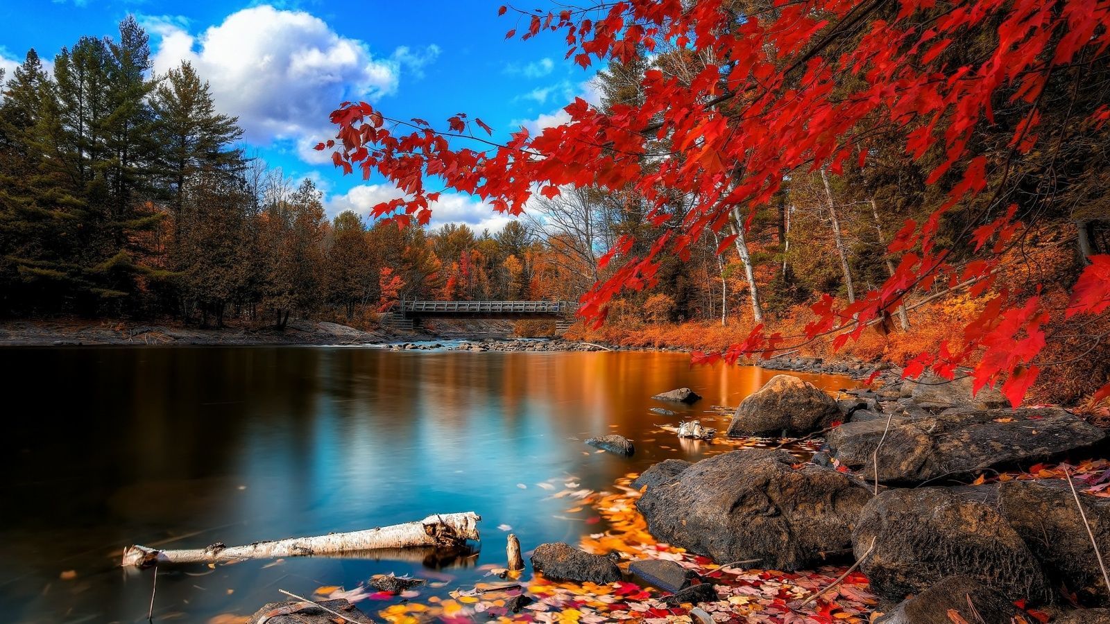 Autumn Water Wallpapers