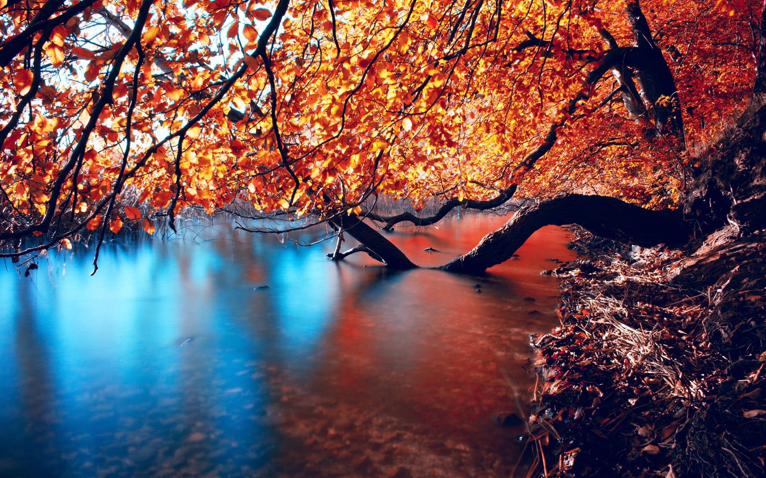 Autumn Water Wallpapers