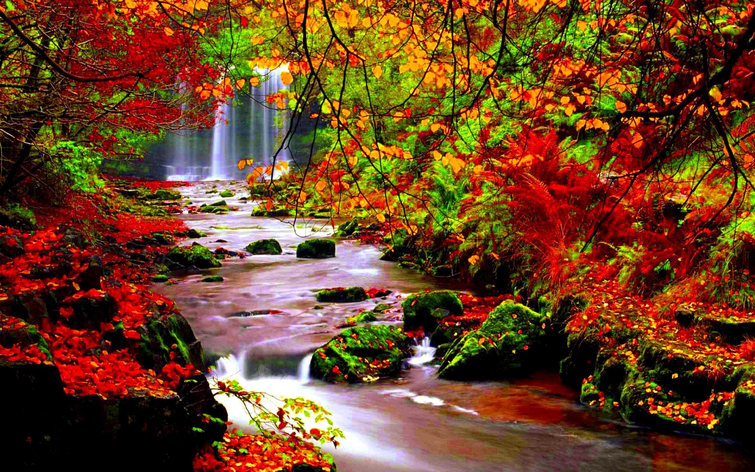 Autumn Water Wallpapers