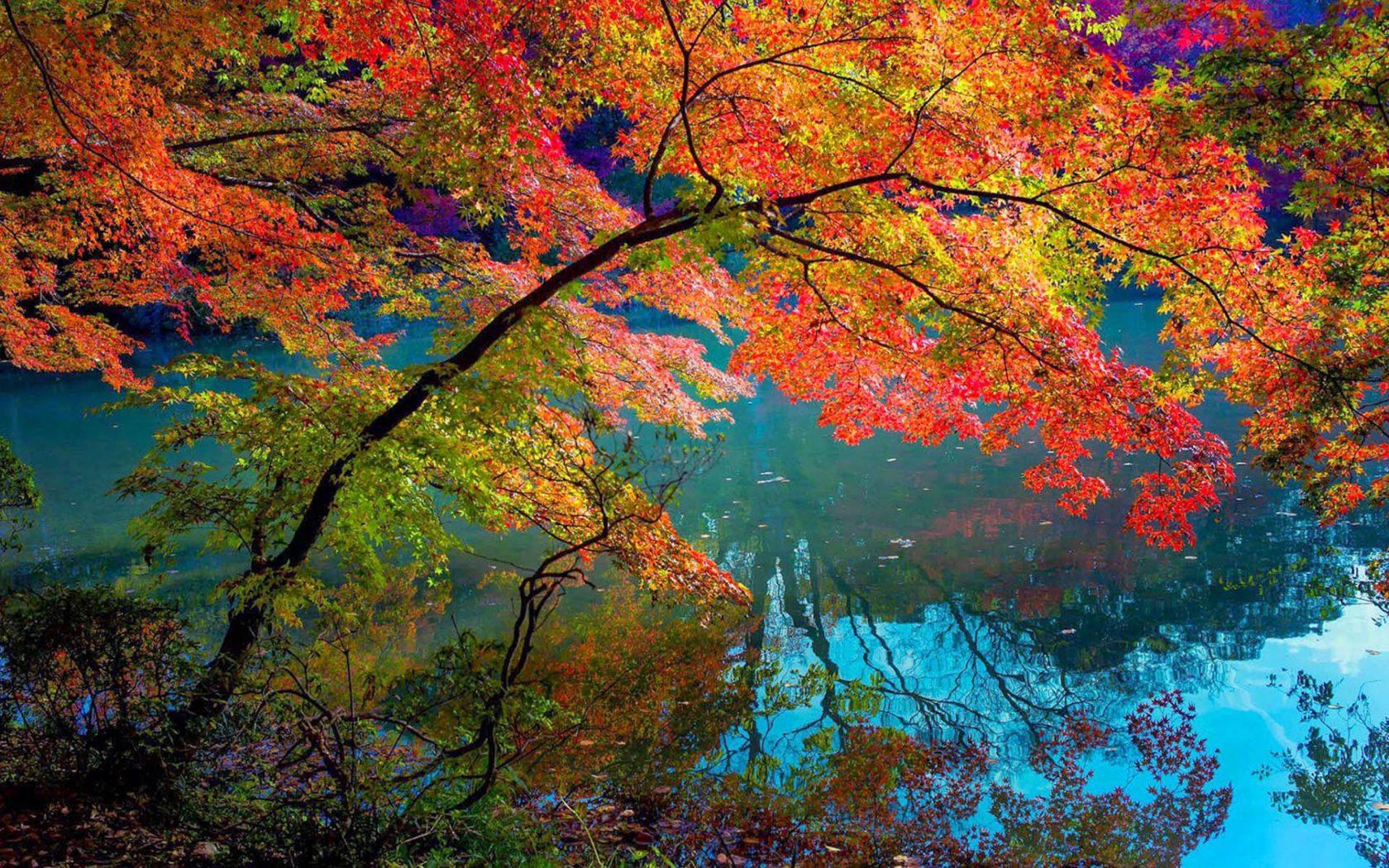 Autumn Water Wallpapers