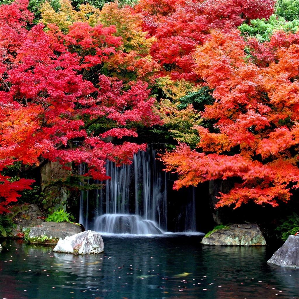 Autumn Water Wallpapers