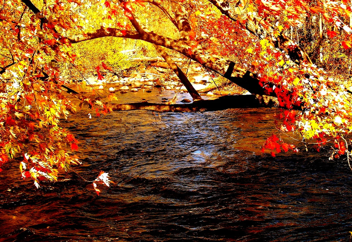 Autumn Water Wallpapers