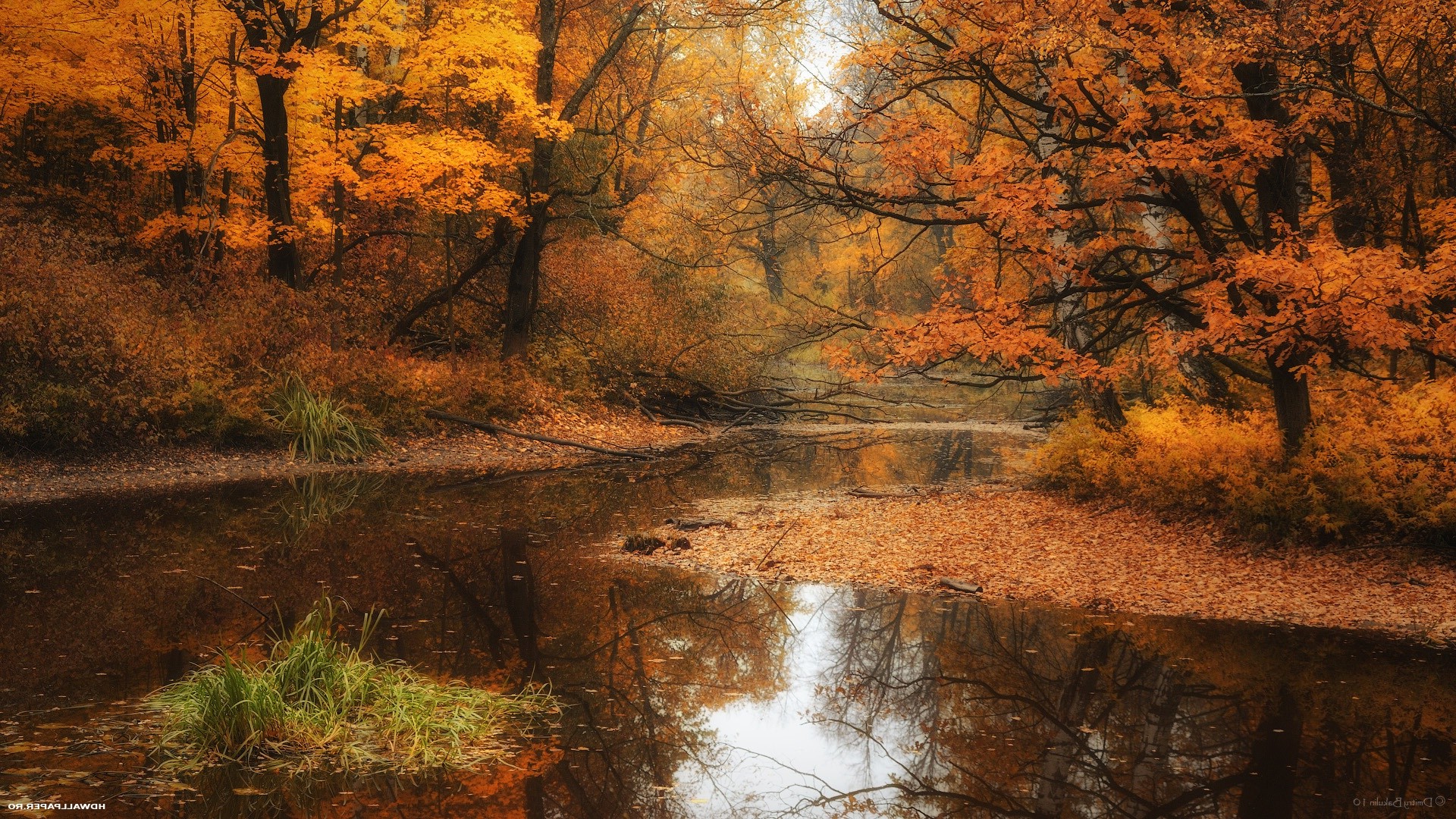 Autumn Water Wallpapers