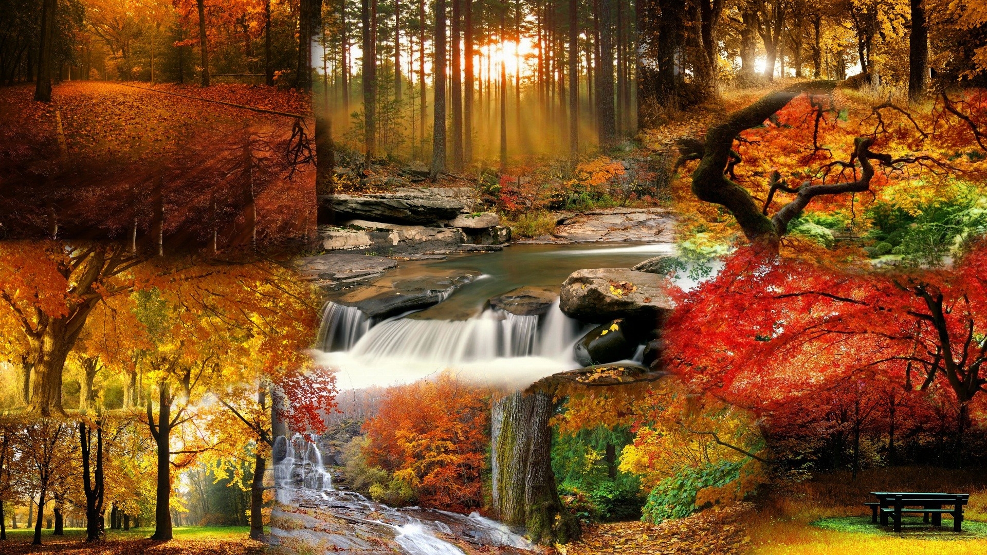 Autumn Water Wallpapers