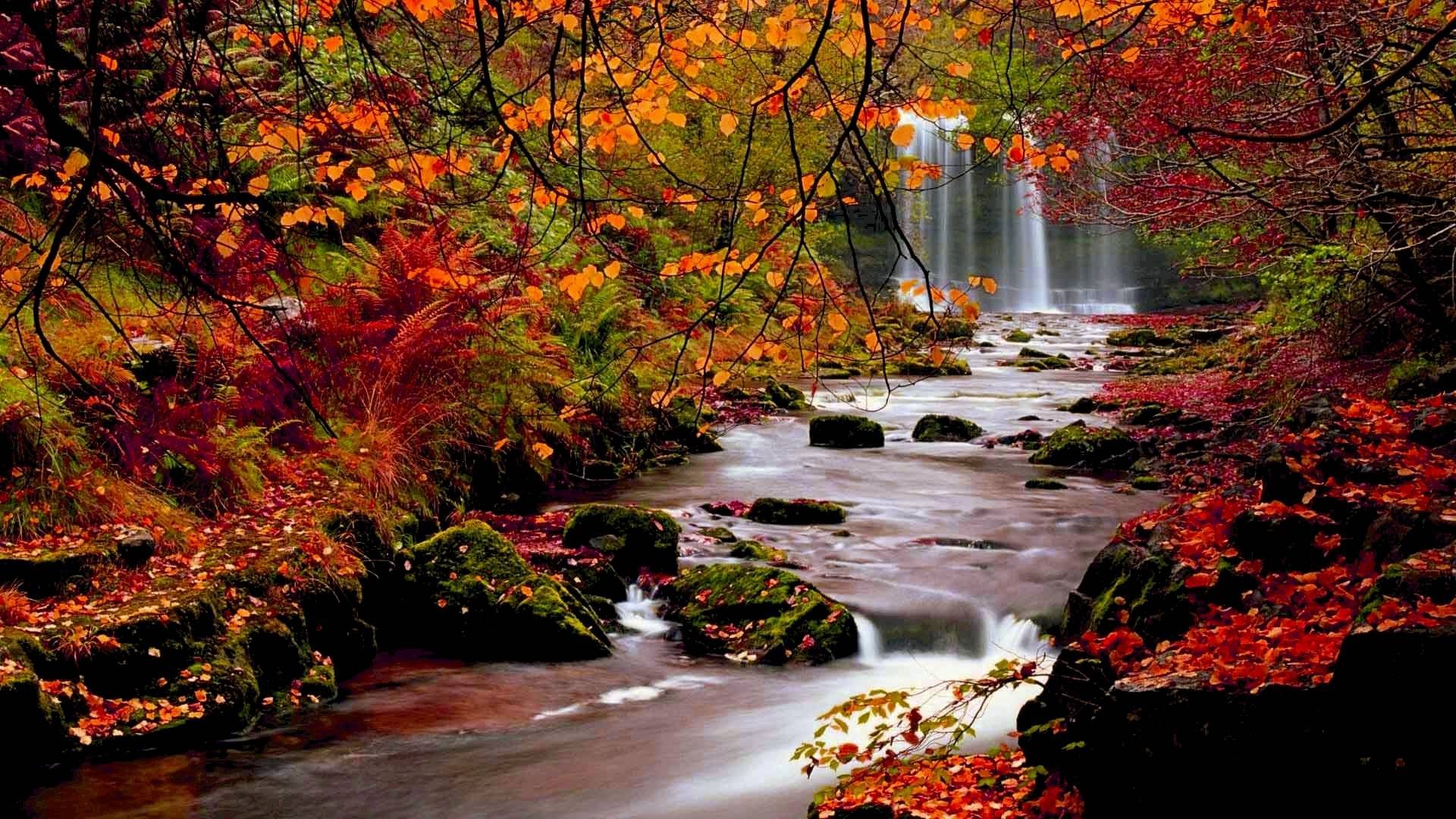 Autumn Water Wallpapers