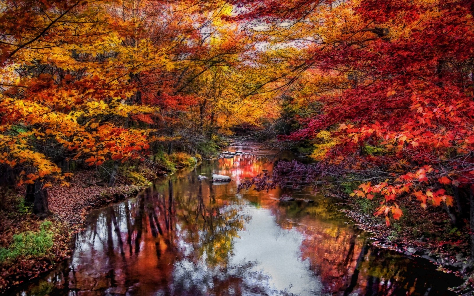 Autumn Water Wallpapers