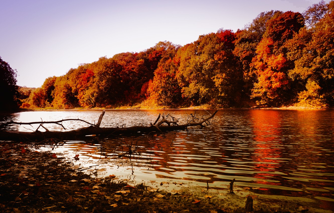 Autumn Water Wallpapers