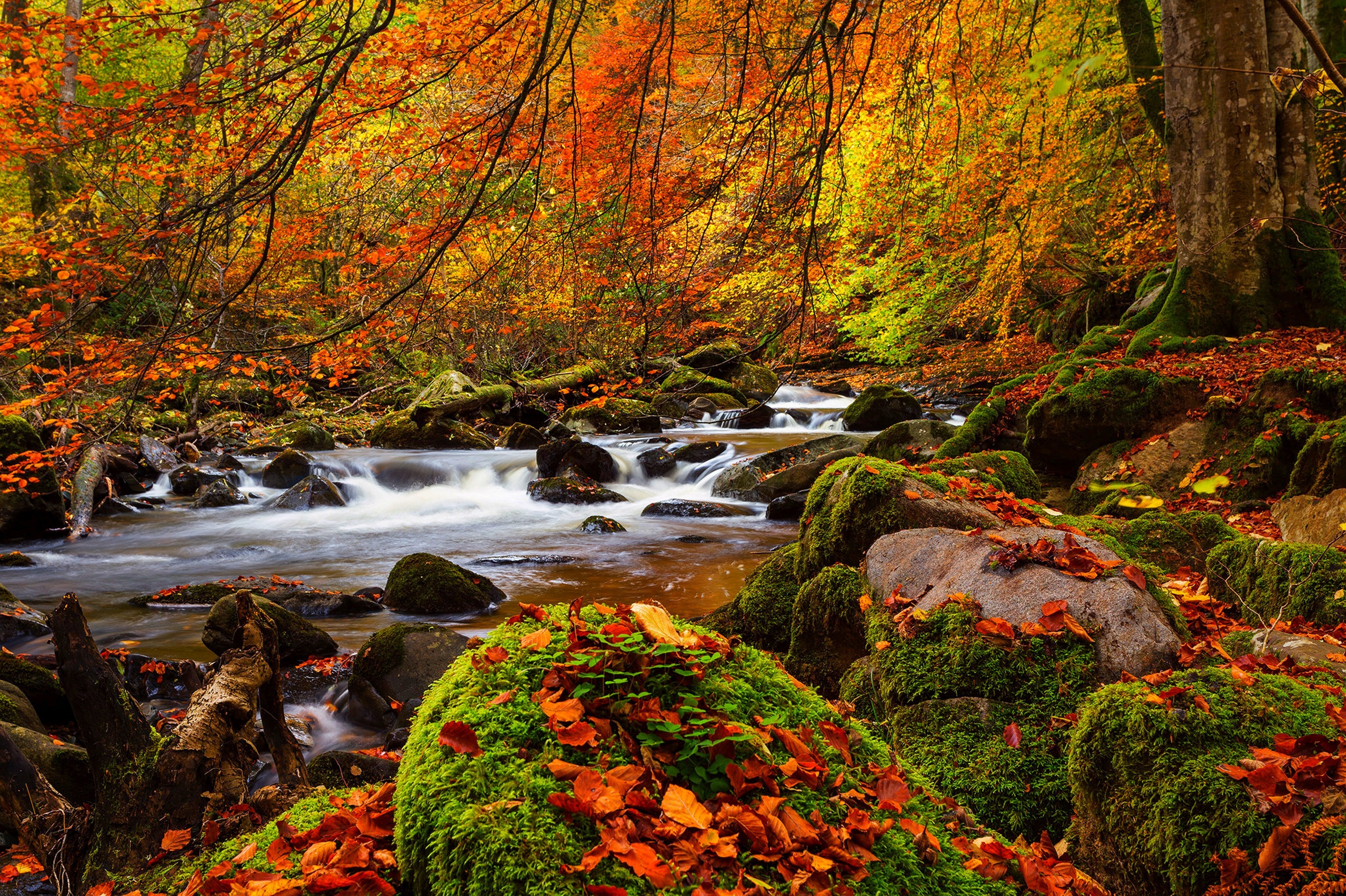 Autumn Water Wallpapers