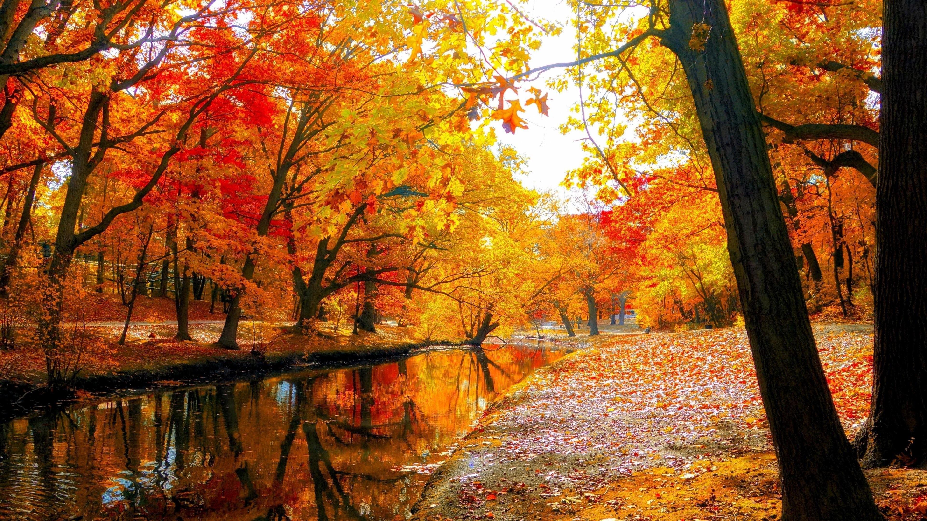 Autumn Water Wallpapers