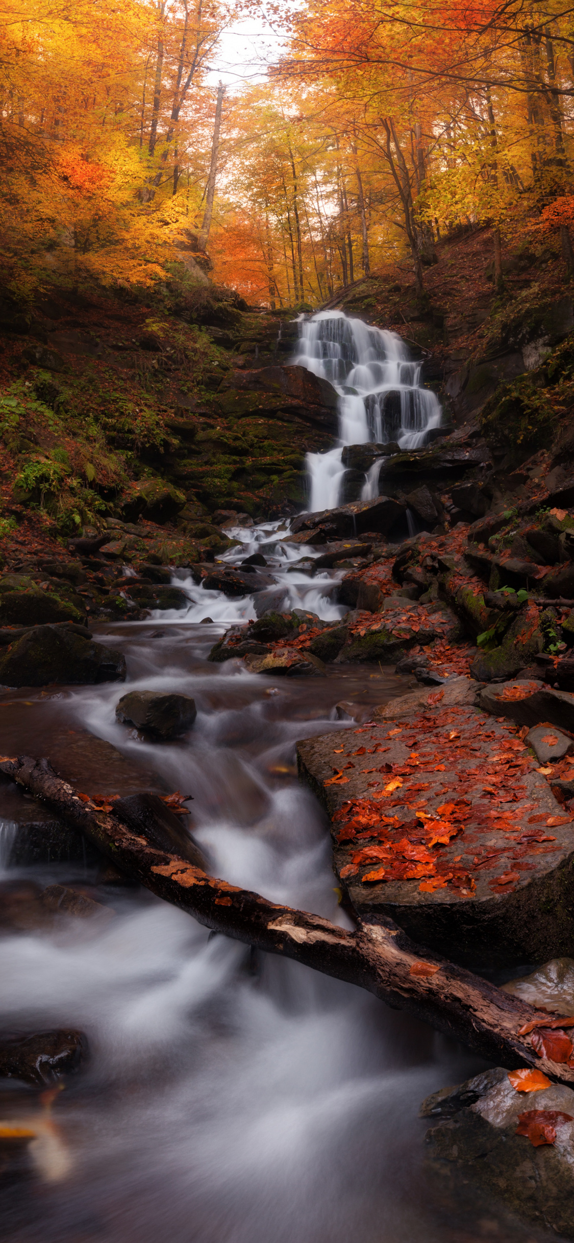 Autumn Water Wallpapers