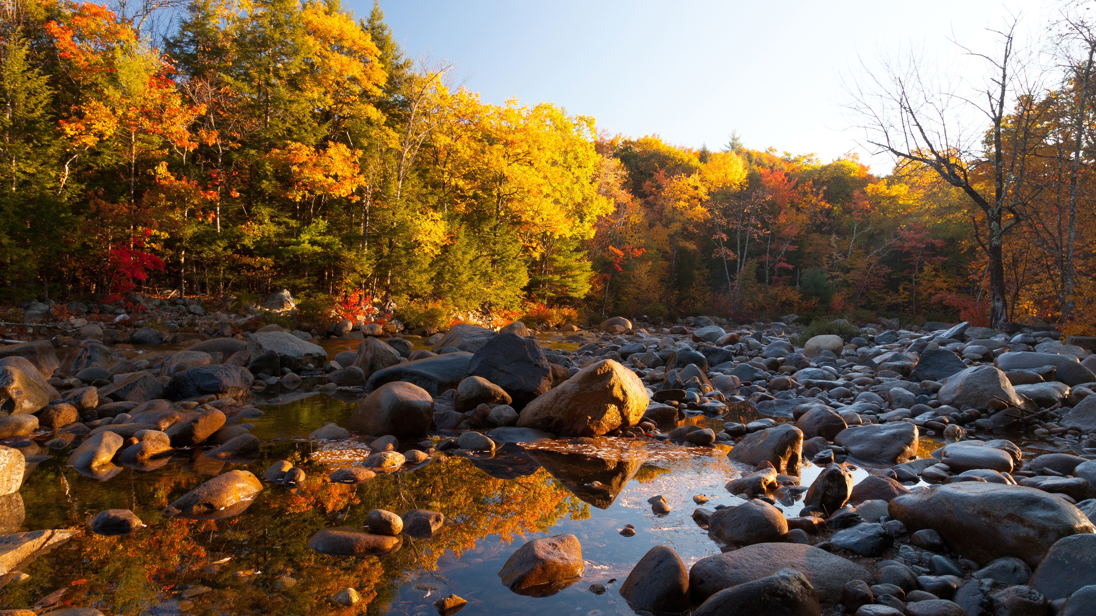 Autumn Water Wallpapers