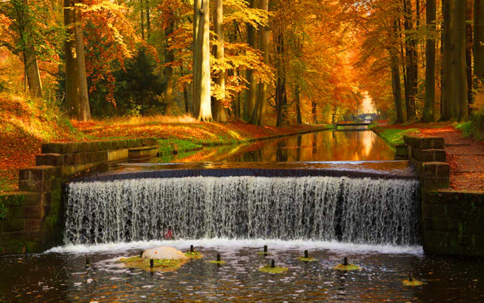 Autumn Waterfall Wallpapers