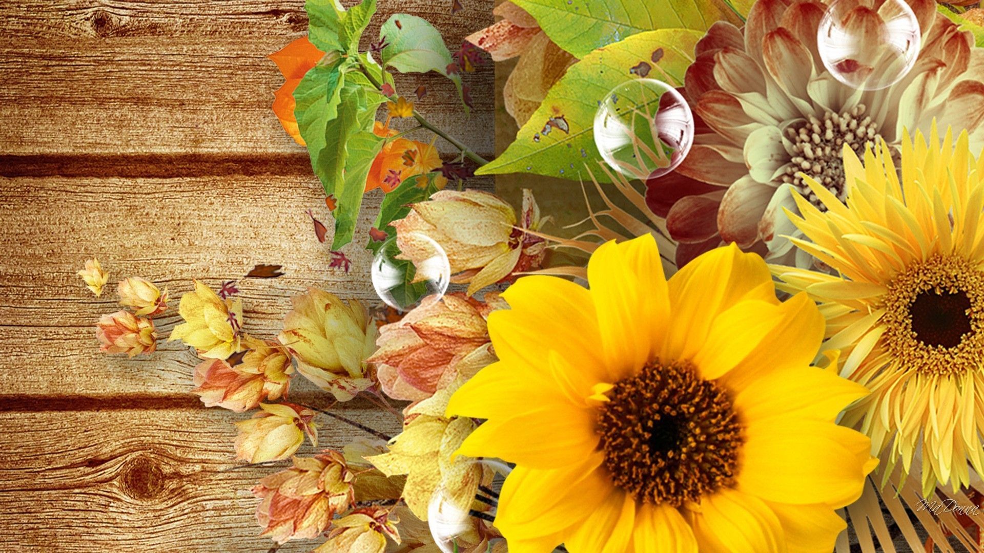 Autumn With Sunflowers Wallpapers