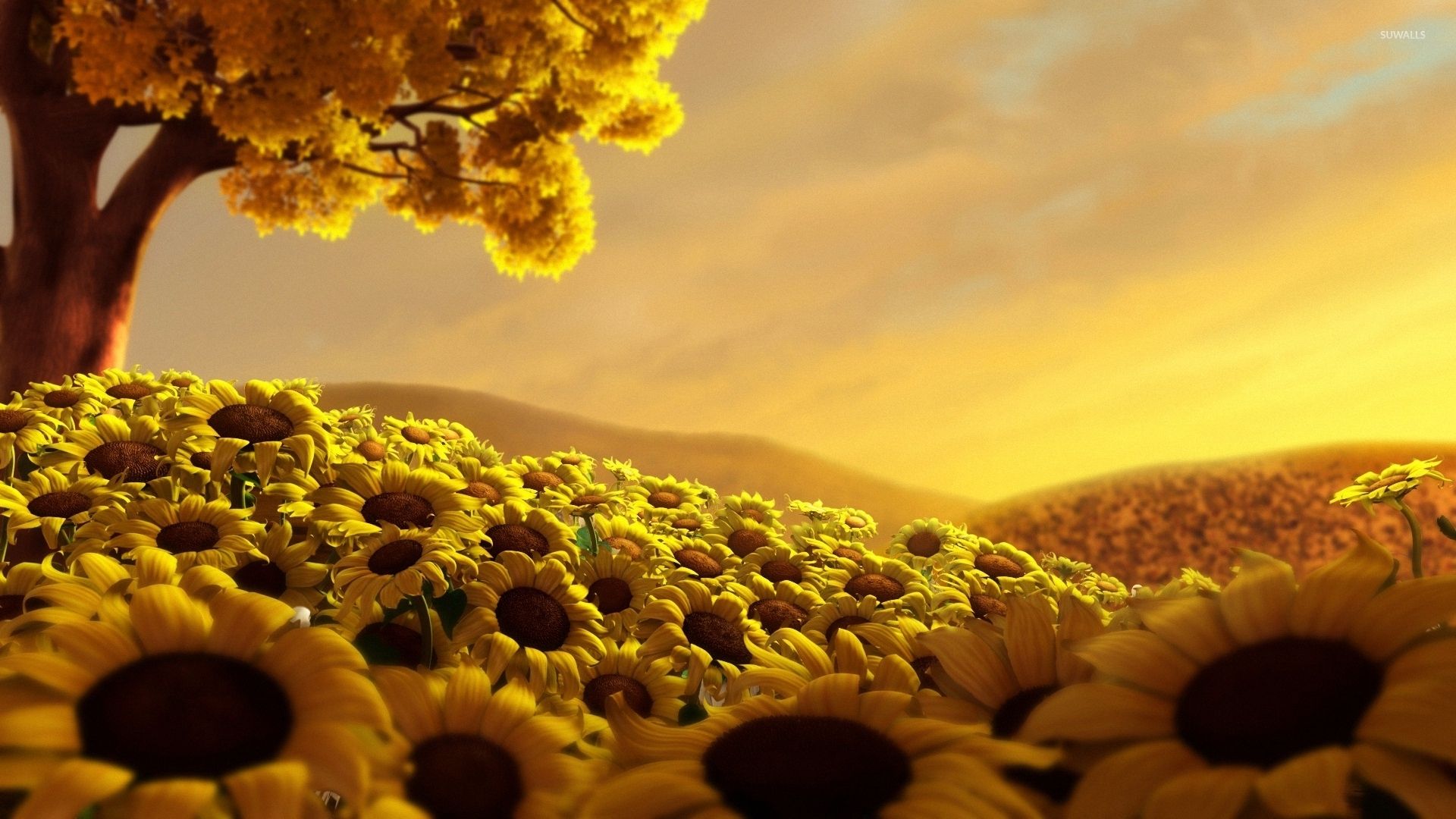 Autumn With Sunflowers Wallpapers