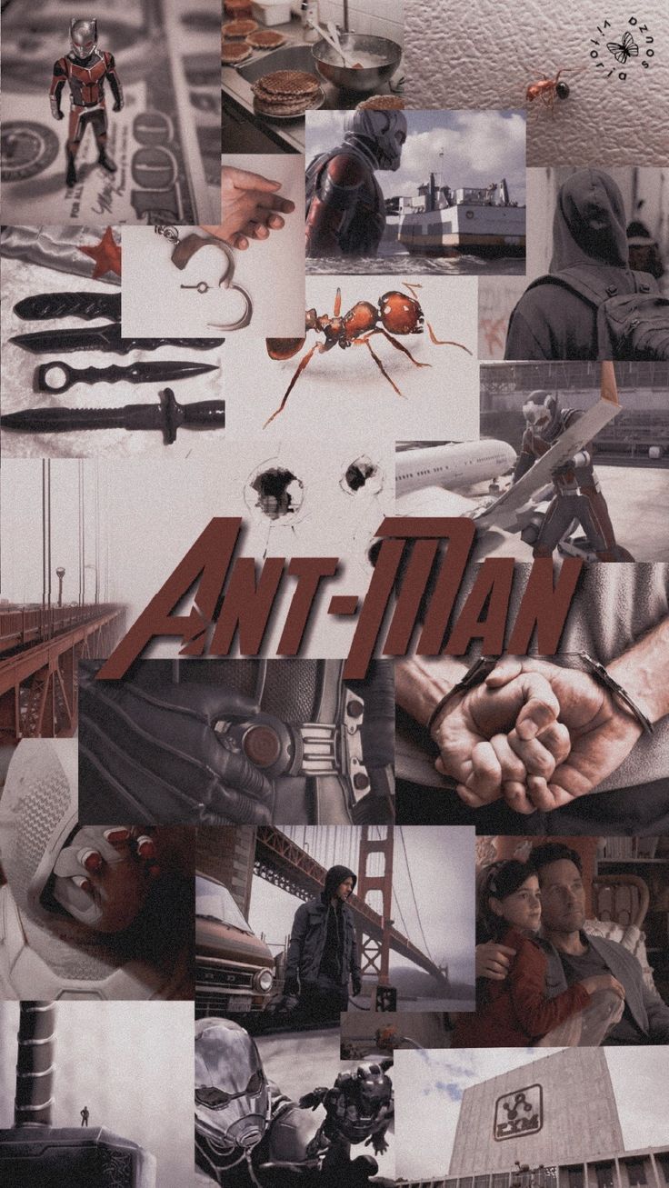 Avengers Endgame Ant-Man Poster Art Wallpapers