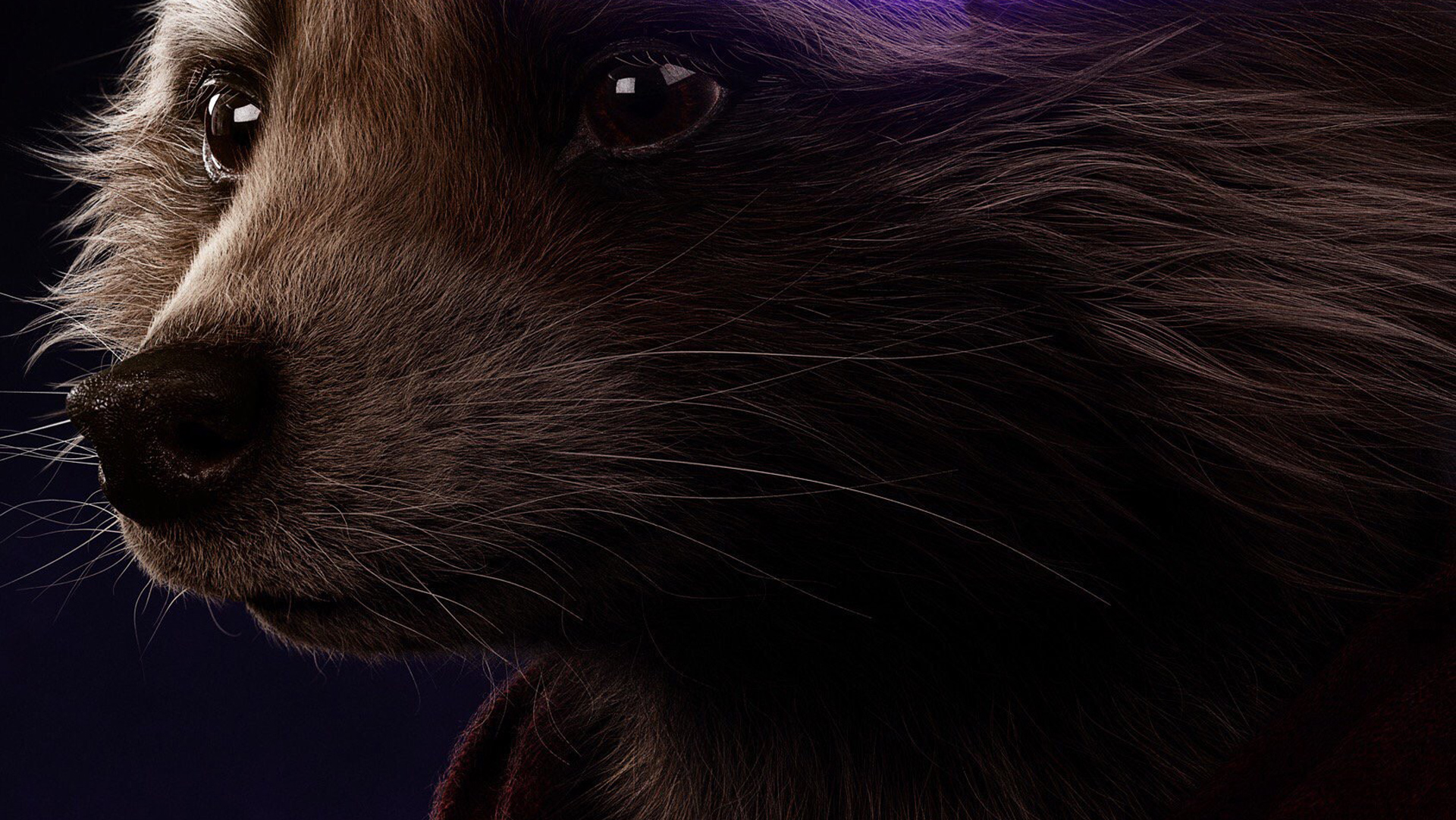 Avengers Endgame Rocket Raccoon Poster Art Wallpapers