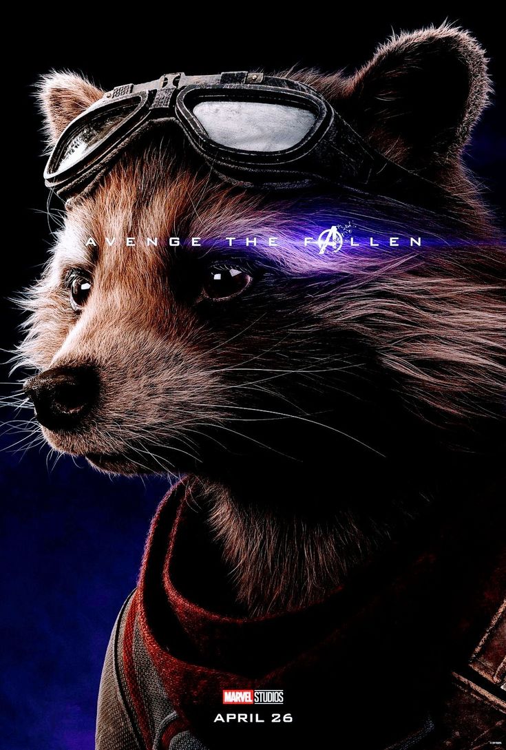 Avengers Endgame Rocket Raccoon Poster Art Wallpapers