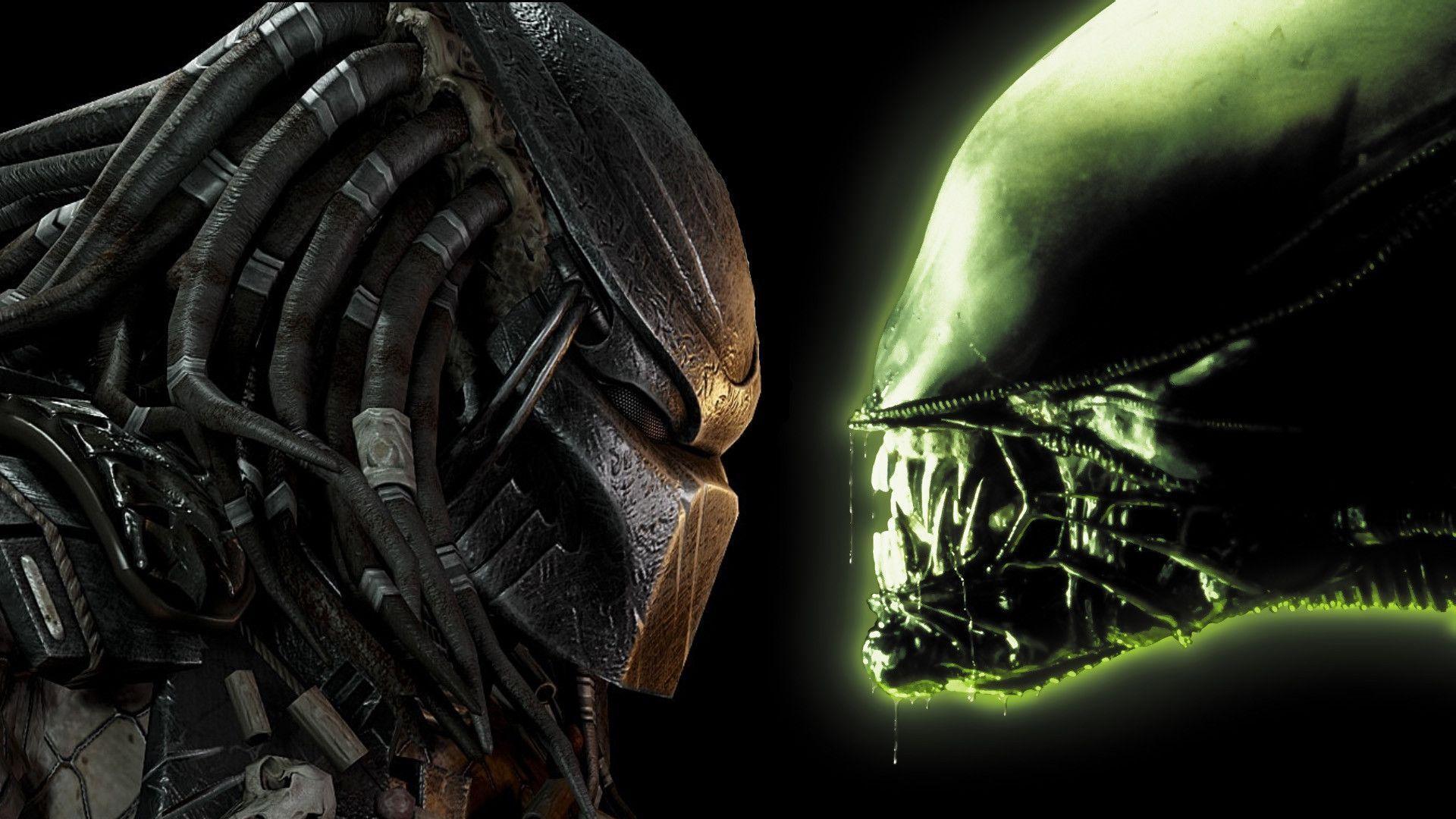 Avp Wallpapers