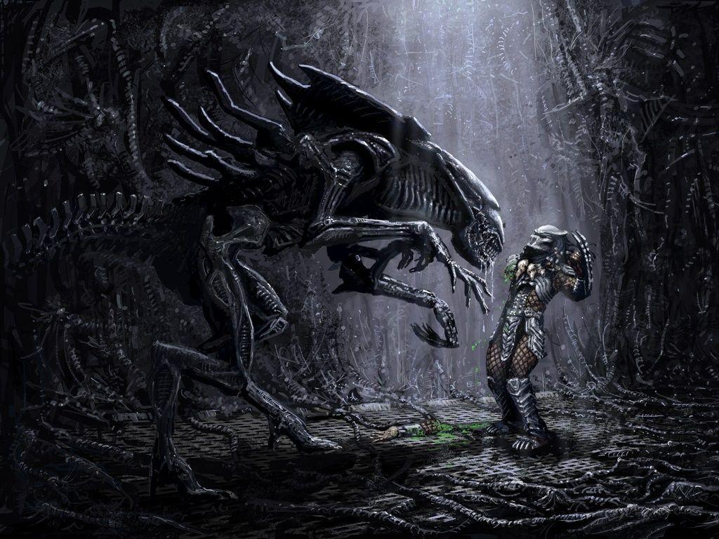 Avp Wallpapers