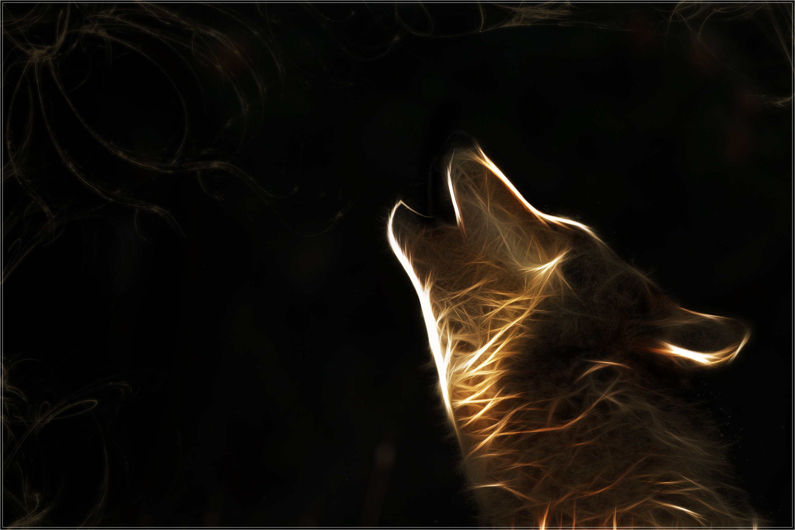 Awesome Pics Of Wolves Wallpapers