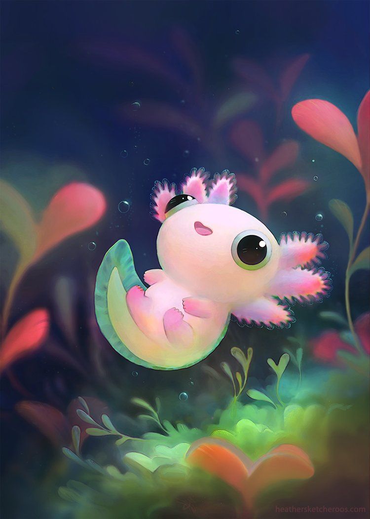 Axolotl Wallpapers