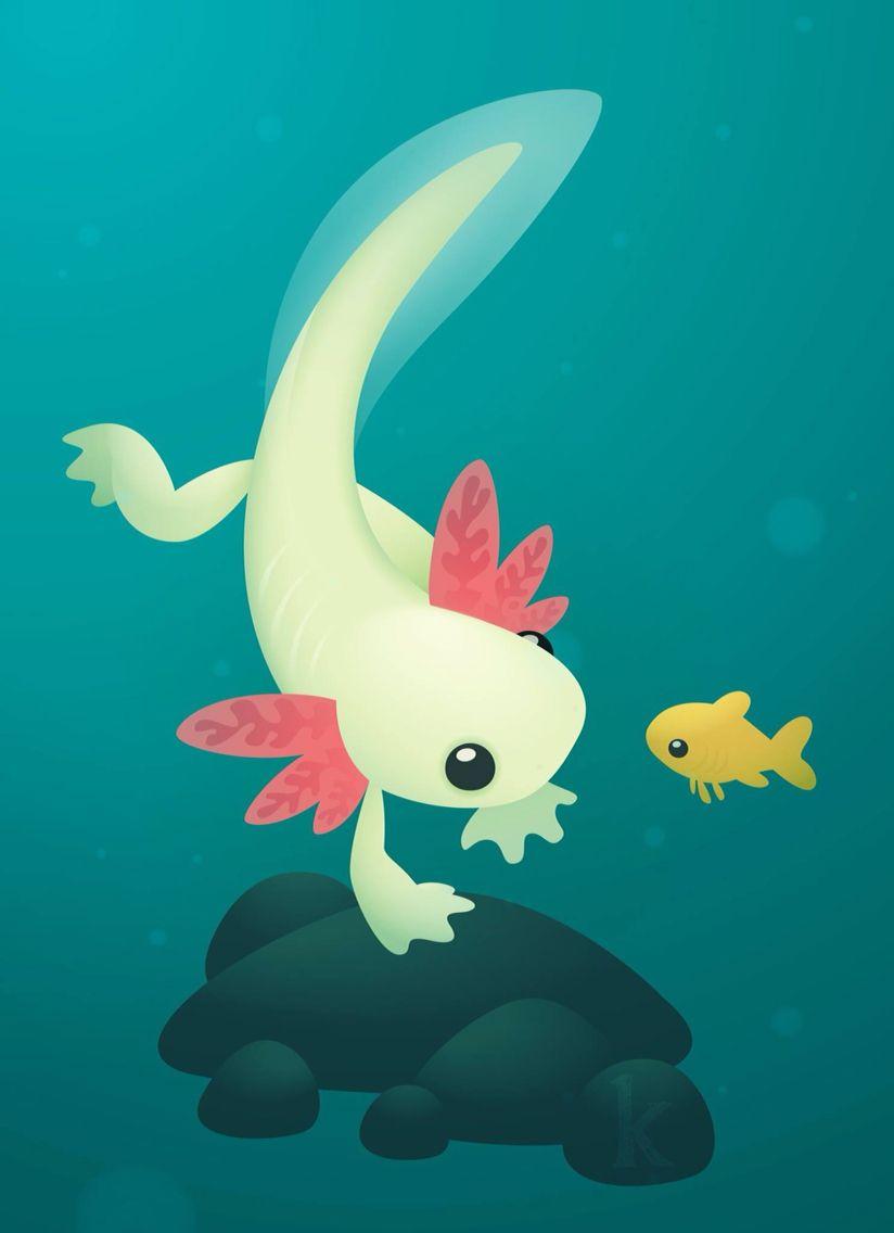 Axolotl Wallpapers