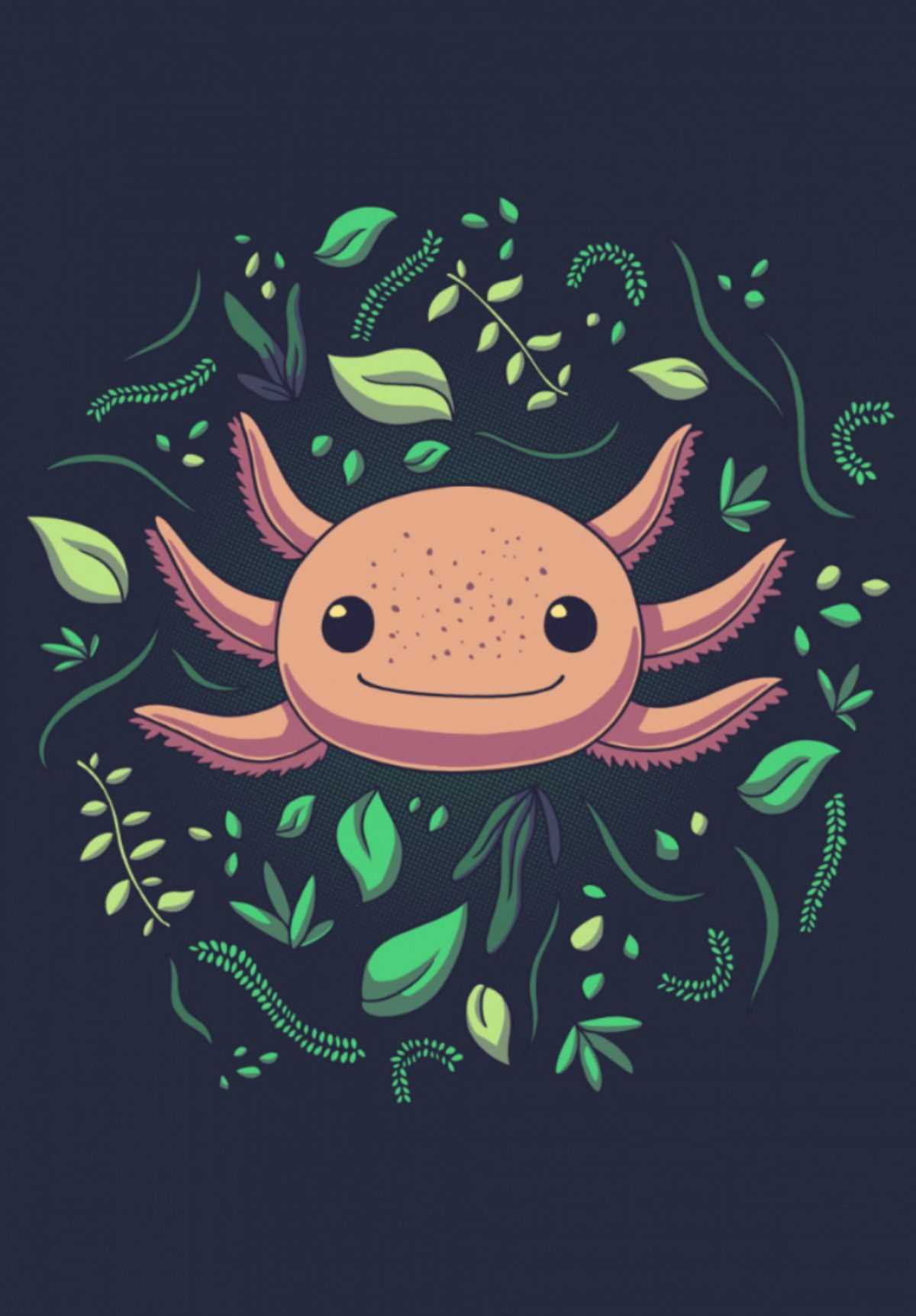 Axolotl Wallpapers