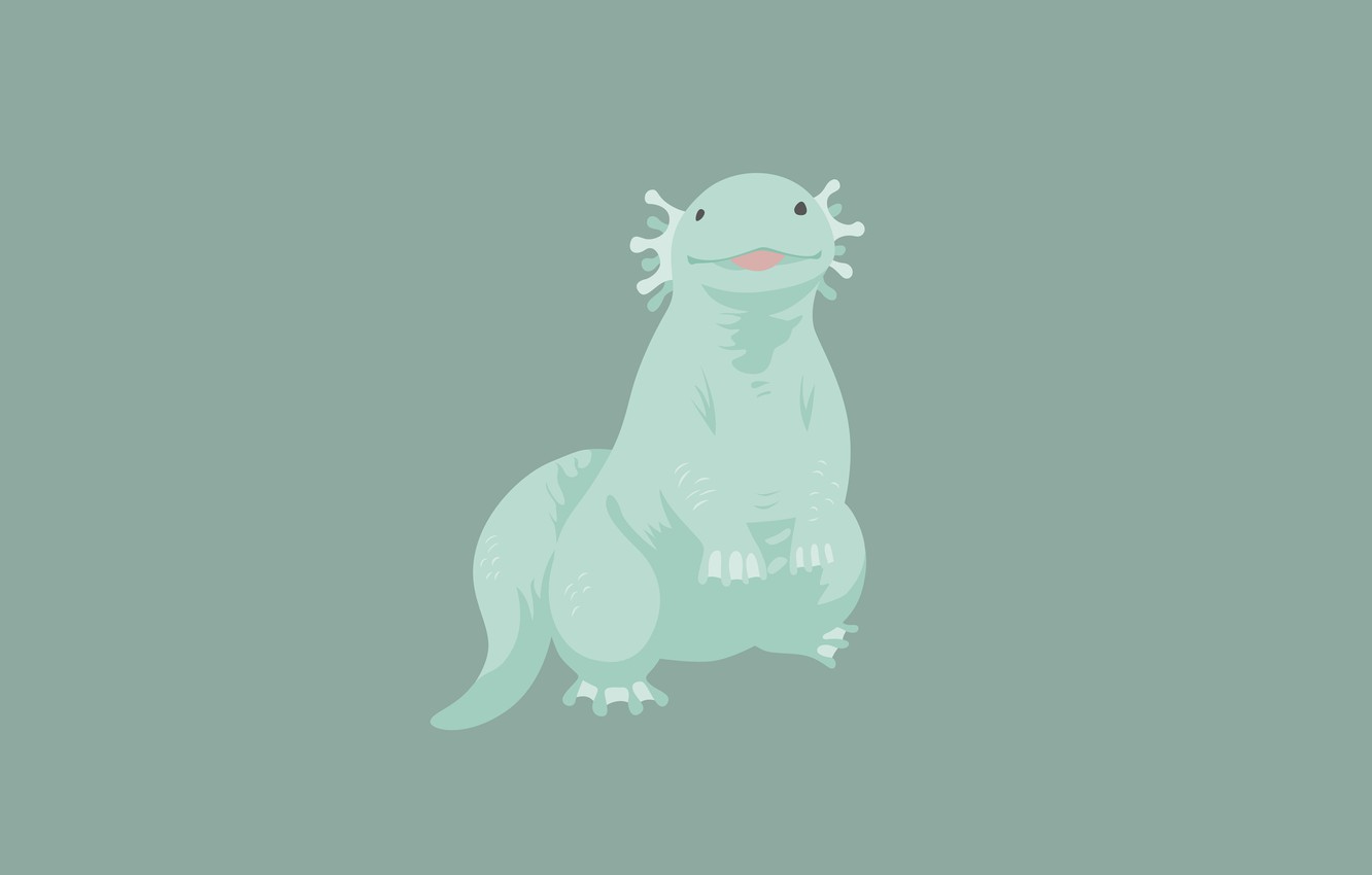 Axolotl Wallpapers