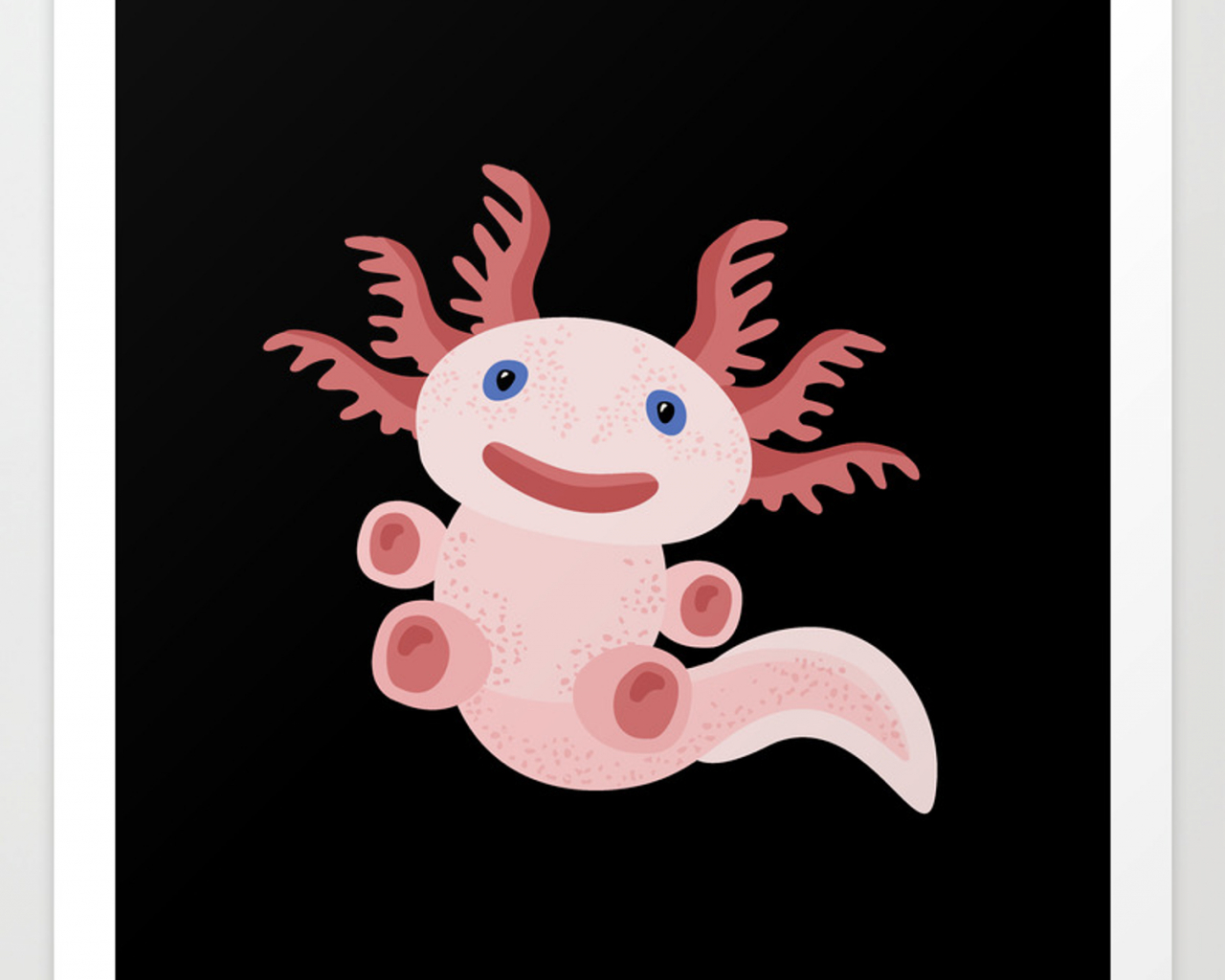 Axolotl Wallpapers