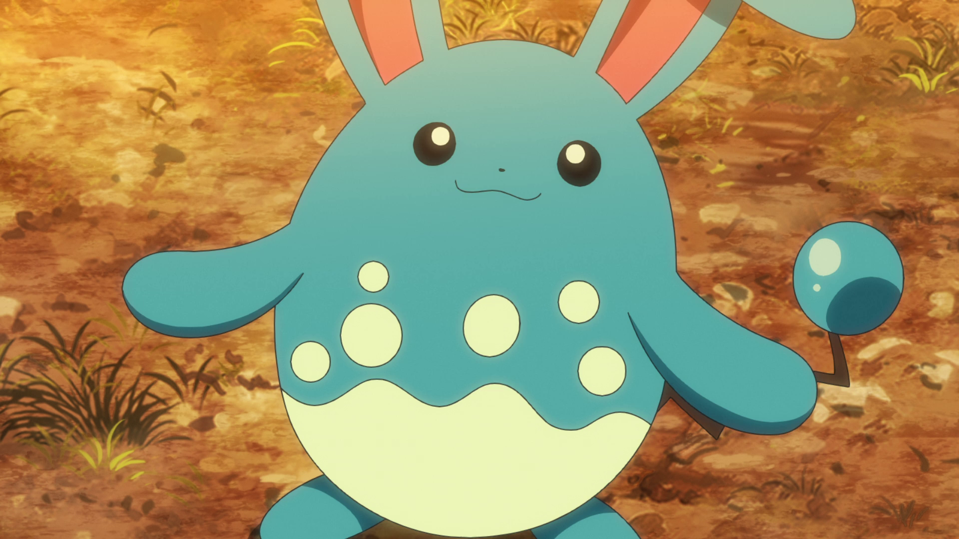 Azumarill Hd Wallpapers