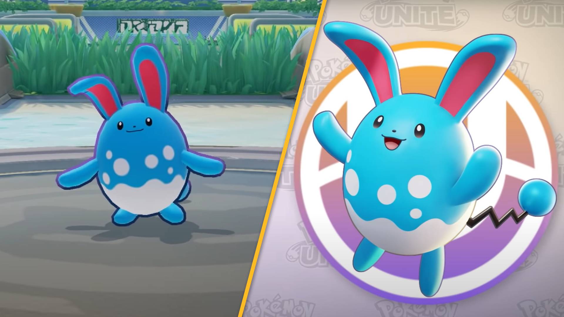 Azumarill Hd Wallpapers